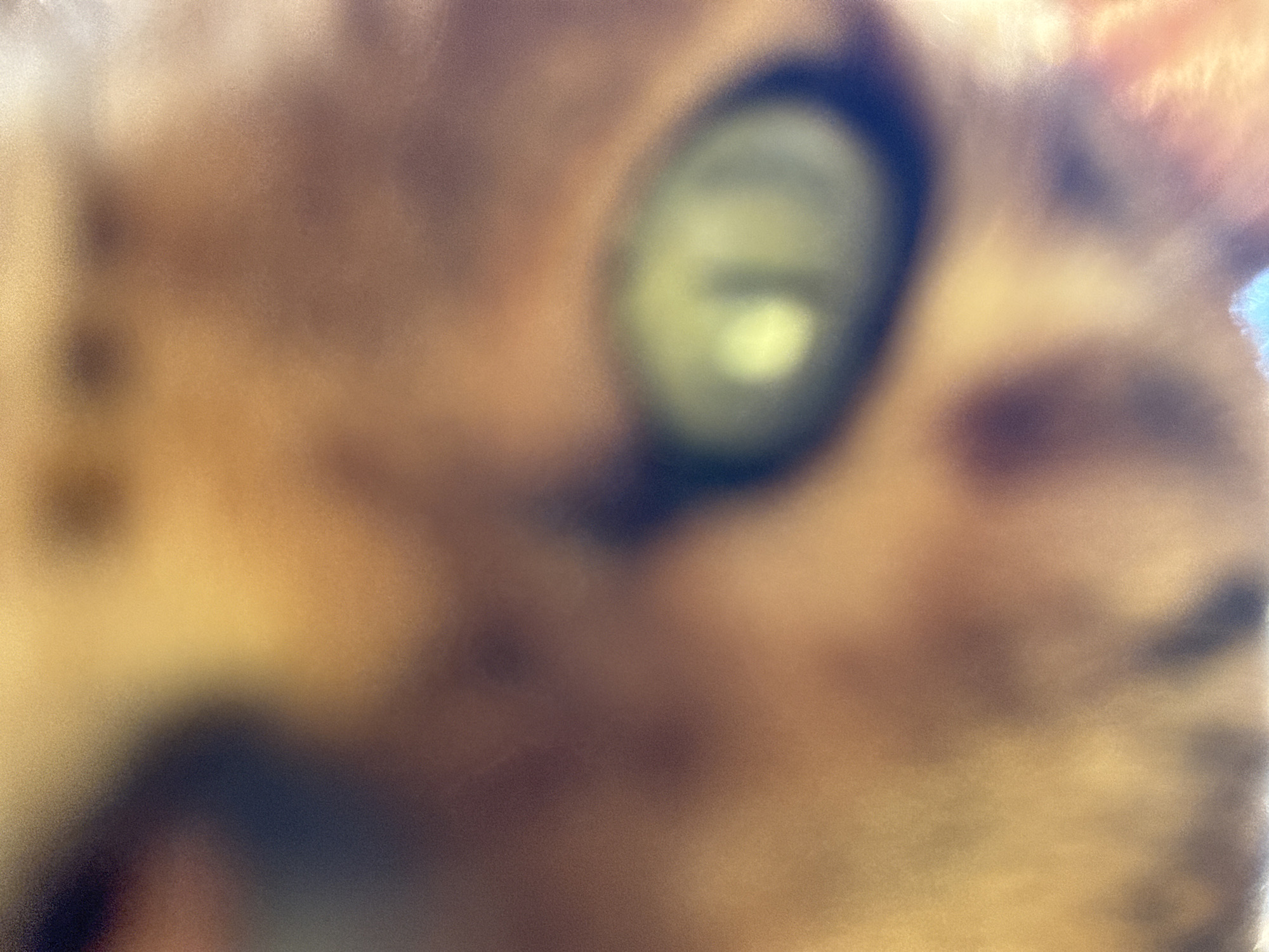 The image is a very blurry, close-up shot of a cat's face. The cat's left eye is prominently visible, a large green orb with a yellowish pupil. The rest of the face is a mix of warm brown and orange tones, with indistinct dark markings. The lighting is warm and diffused, suggesting an indoor setting, though no specific environmental details are discernible due to the blurriness. The image appears to be an amateur photograph due to its lack of focus.