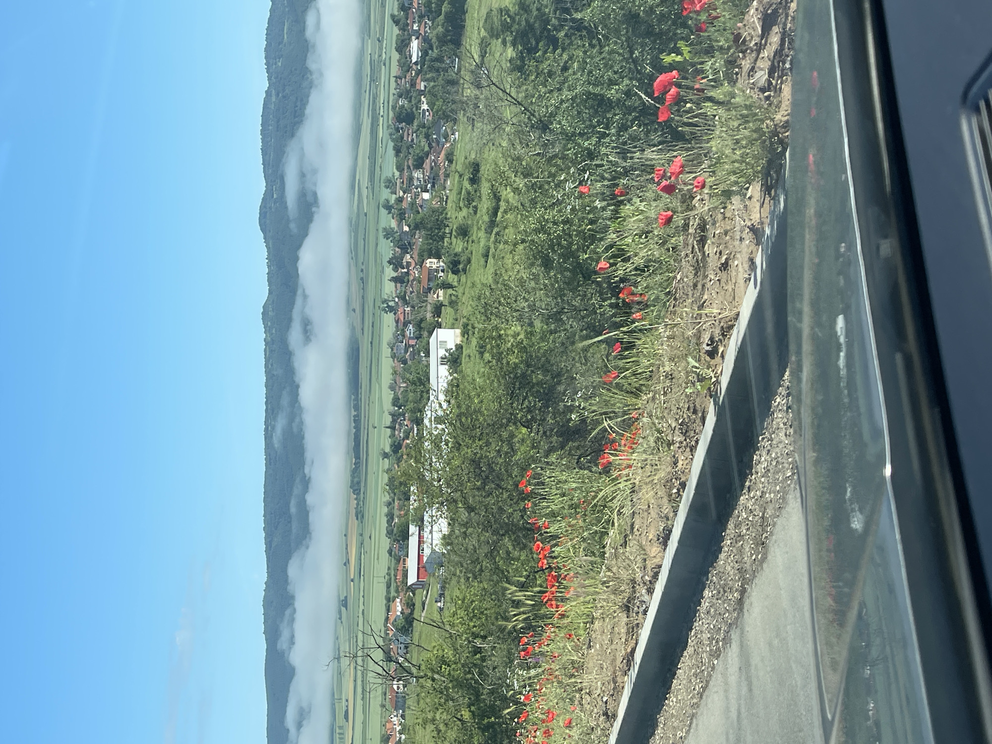 This image presents a serene and expansive rural landscape, likely captured from a moving vehicle. In the immediate foreground, a vibrant patch of bright red poppies flourishes amidst green grasses and bare earth, bordering a grey roadside barrier and a strip of gravel. The right side of the frame shows the dark interior and window frame of what appears to be a car.
Beyond the foreground, the midground reveals a scenic valley with a scattered village. Numerous houses, many featuring red-tiled roofs, are interspersed among green trees and fields, creating a patchwork of human settlement within nature. Further into the valley, larger buildings, including a prominent white structure with a red roof, are visible. The valley itself is characterized by vast green fields and pastures.
In the background, a long mountain range, densely covered in dark green foliage, stretches across the horizon. A notable detail is the persistent, low-lying mist or fog that partially obscures the base of these mountains and extends across sections of the valley, adding a layer of ethereal beauty to the scene. Above this, the sky is a clear and bright blue, suggesting a sunny day, possibly morning given the presence of the valley fog.
The overall impression is one of peaceful rural life and natural beauty in the Bulgarian countryside near Ruen. No discernible text is visible in the image.