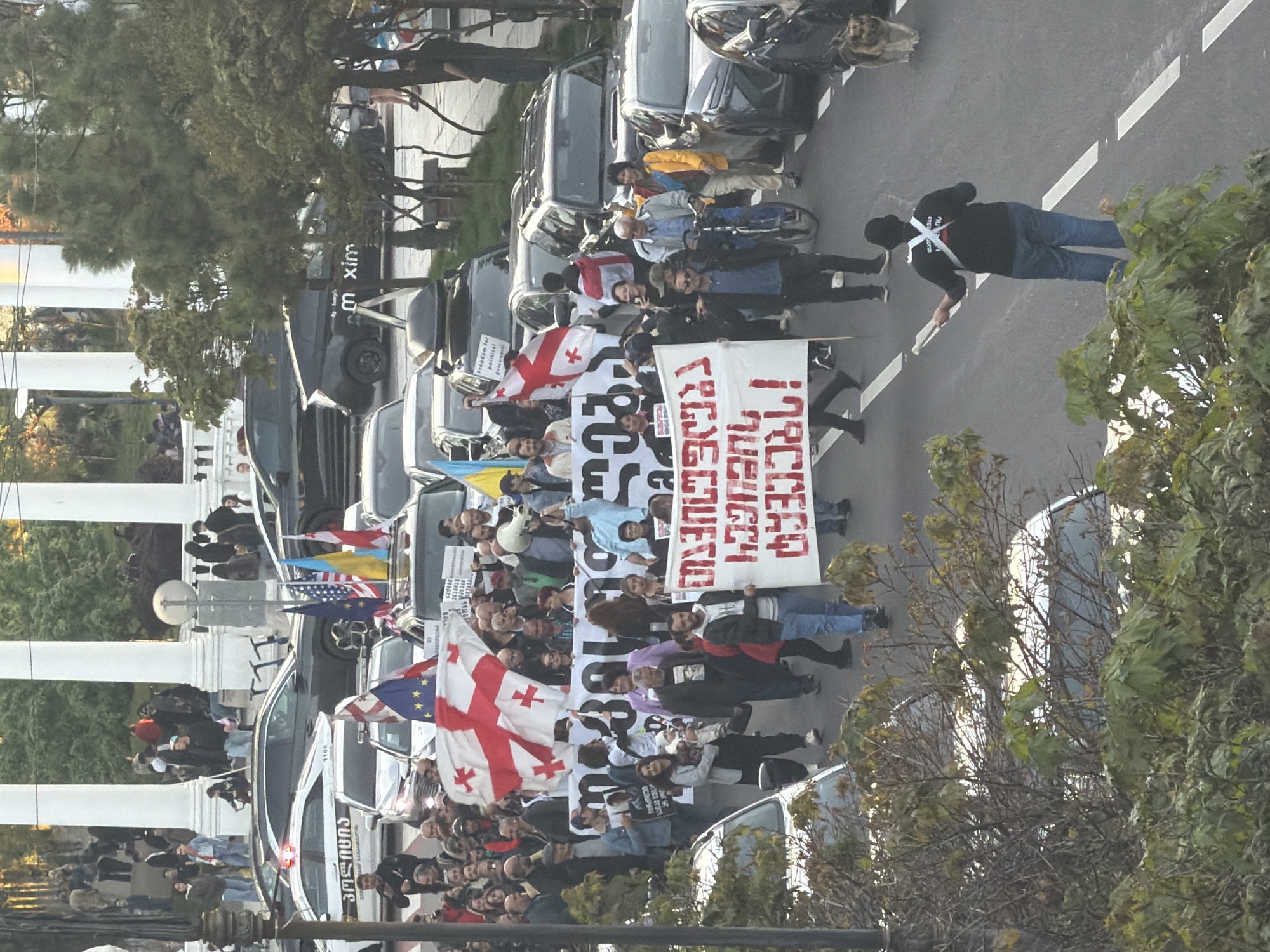 A street in Batumi, Georgia is filled with a demonstration. A large group of people are marching, holding Georgian flags and signs with text in Georgian, demanding the release of political prisoners. There are several cars parked on the sides of the street. There are buildings, trees, and a barrier present.