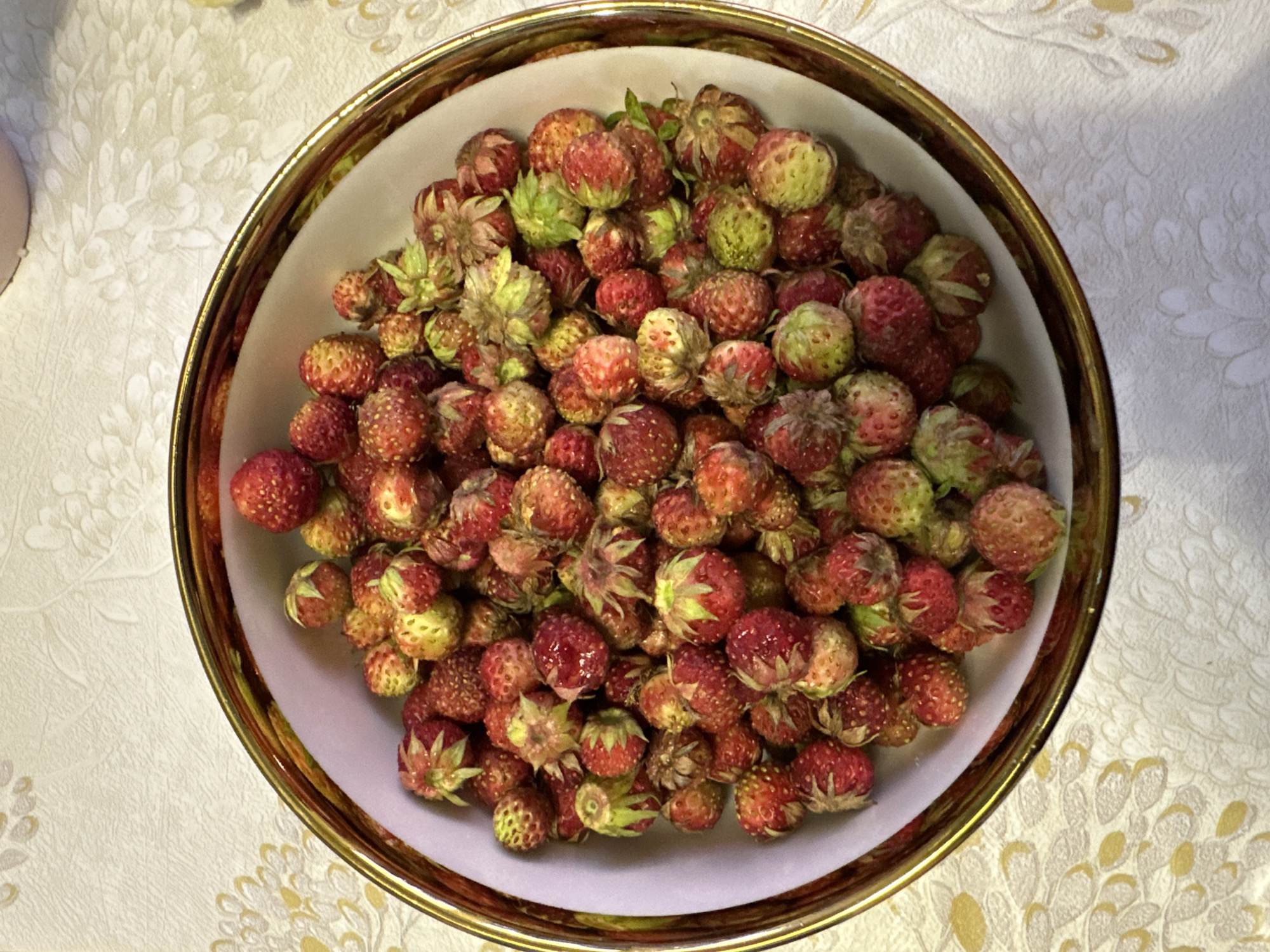 A top-down, eye-level shot shows a bowl filled with wild strawberries. The bowl is white with a gold rim. The strawberries are small, varying in color from red to green, and some have visible green stems and leaves. The bowl is placed on a textured tablecloth with a subtle floral pattern in shades of cream and yellow. The background is out of focus. The scene is indoors, likely a domestic setting. There are no people or animals present.