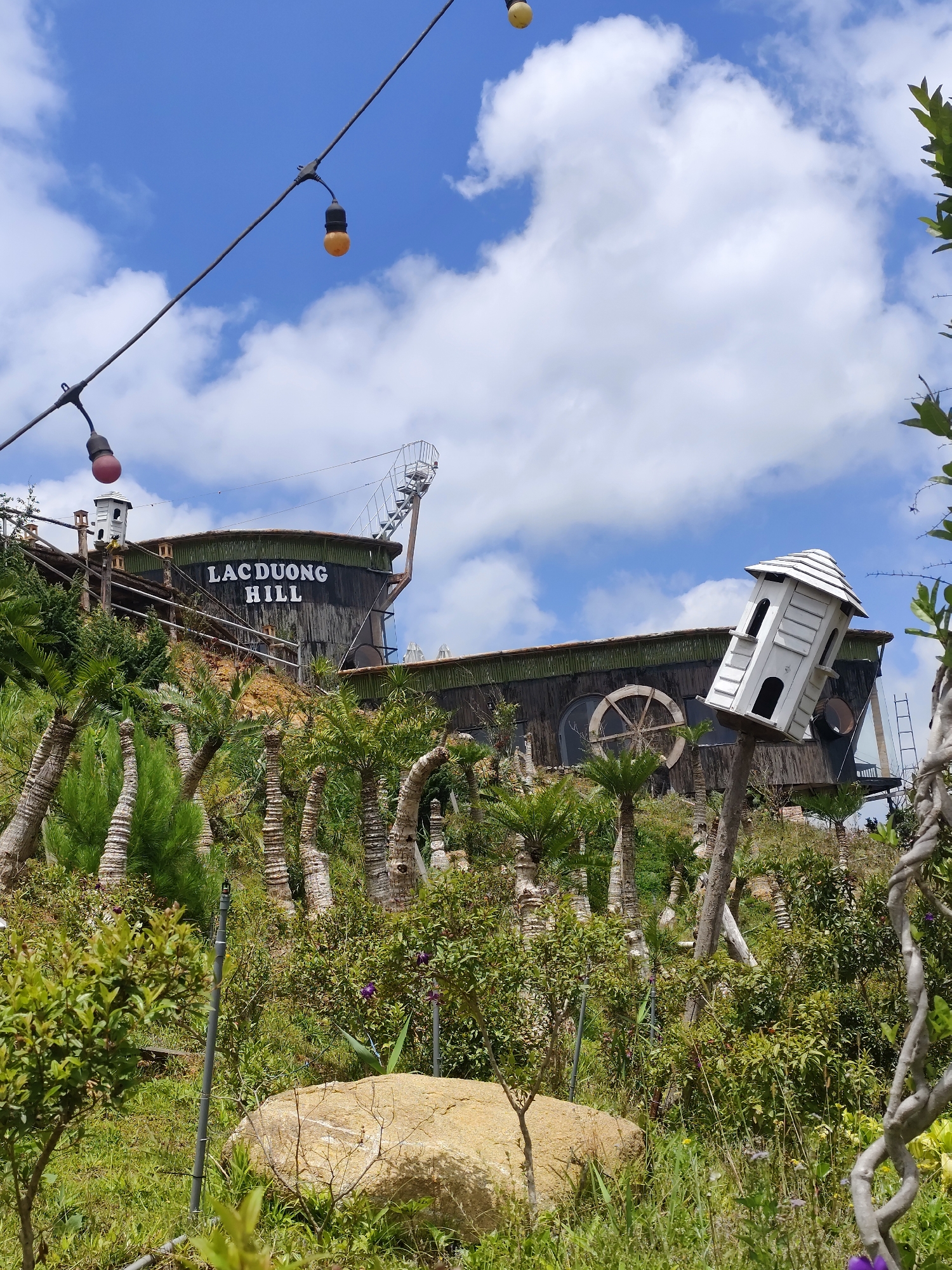 This outdoor, upward-angled shot captures a unique, ship-like building situated on a lush green hill under a bright blue sky with scattered white clouds. The setting appears to be a themed resort or attraction, consistent with the provided location context of Lạc Dương, Vietnam.
The prominent subject is a large, dark-colored building, constructed to resemble a ship or boat, blending into the hillside. On its side, the text "LAC DUONG HILL" is clearly visible in white capital letters. The building features circular, porthole-like windows, one designed as a large wooden wheel, and a staircase leading up to what appears to be an observation deck at the stern.
The hill is densely covered with various types of foliage, including numerous palm-like trees with rough, textured trunks, suggesting a tropical or subtropical environment. Bushes and green grass fill the spaces between these trees. In the foreground, a large, light-brown rock sits amidst more greenery and what appear to be irrigation pipes or wires.
Adding to the whimsical atmosphere, a tall, white, house-shaped structure, resembling an elaborate birdhouse or a small lighthouse, is mounted on a pole to the right of the frame. Overhead, strung across the sky, are decorative string lights with individual bulbs, some yellow and some reddish-pink, suggesting an area designed for evening ambiance.
The bright sunlight indicates it is daytime, likely midday or early afternoon, with clear weather. No people or specific activities are depicted, giving the scene a serene and exploratory feel.