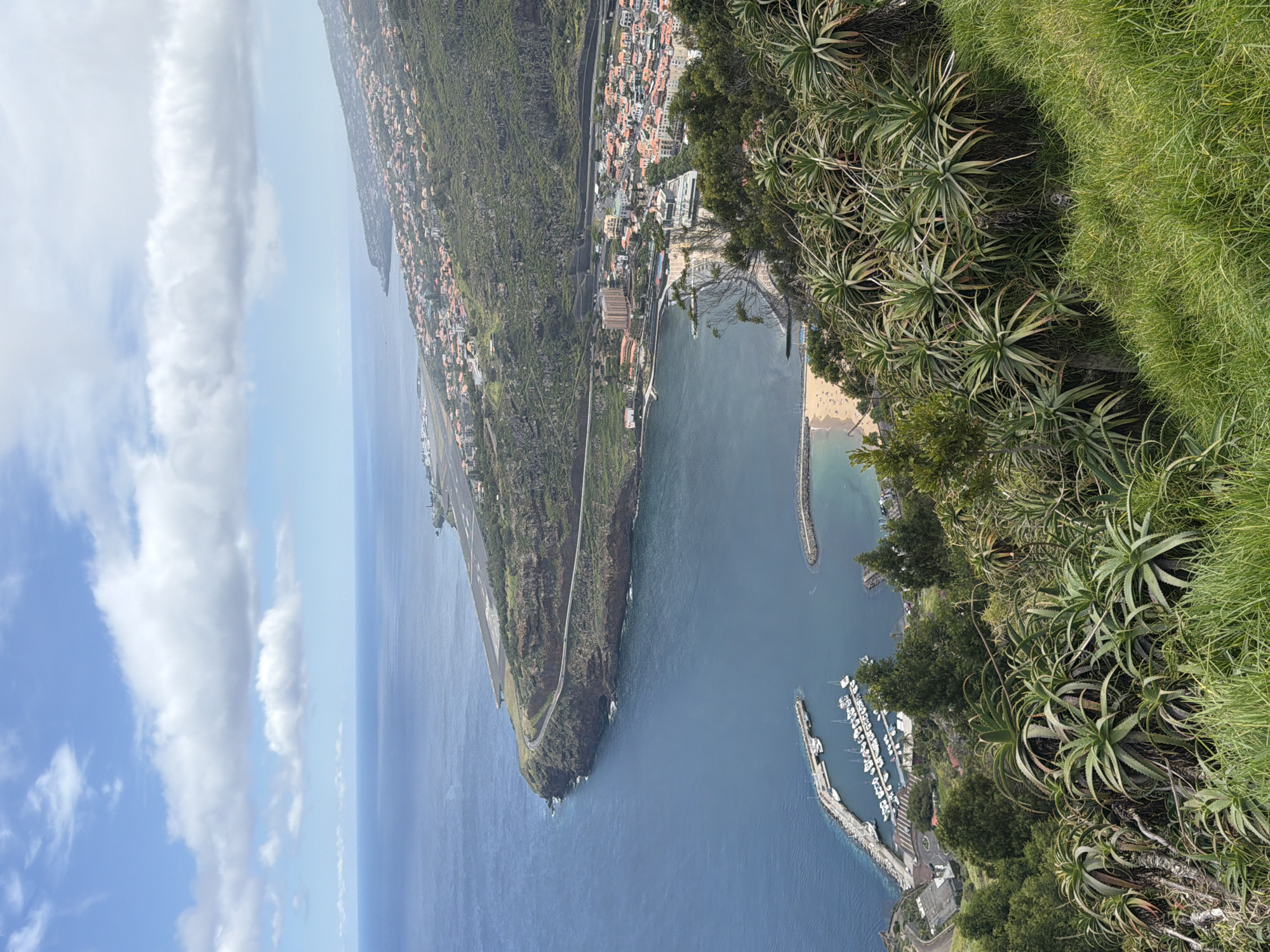 The image depicts a high-angle view of the coast in Machico, Portugal. The scene includes the ocean, a runway extending into the sea, a harbor with moored boats, a beach with people, and buildings in the town. The foreground consists of vegetation on a cliff or hillside. The sky is visible with clouds.