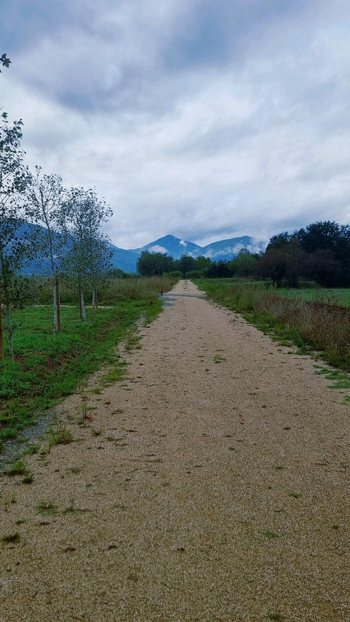 The image shows a long, straight, gravel path leading into the distance towards a range of mountains under a cloudy sky. The path is bordered on the left by a grassy area with several young trees and on the right by dry grasses and foliage. In the distance, trees form a dark line against the mountains. The sky is overcast with diffuse light. The scene is serene and appears to be a natural or park-like setting. There are no people or animals visible in the image. The location is identified as the city of La Vall de Bianya, Spain.