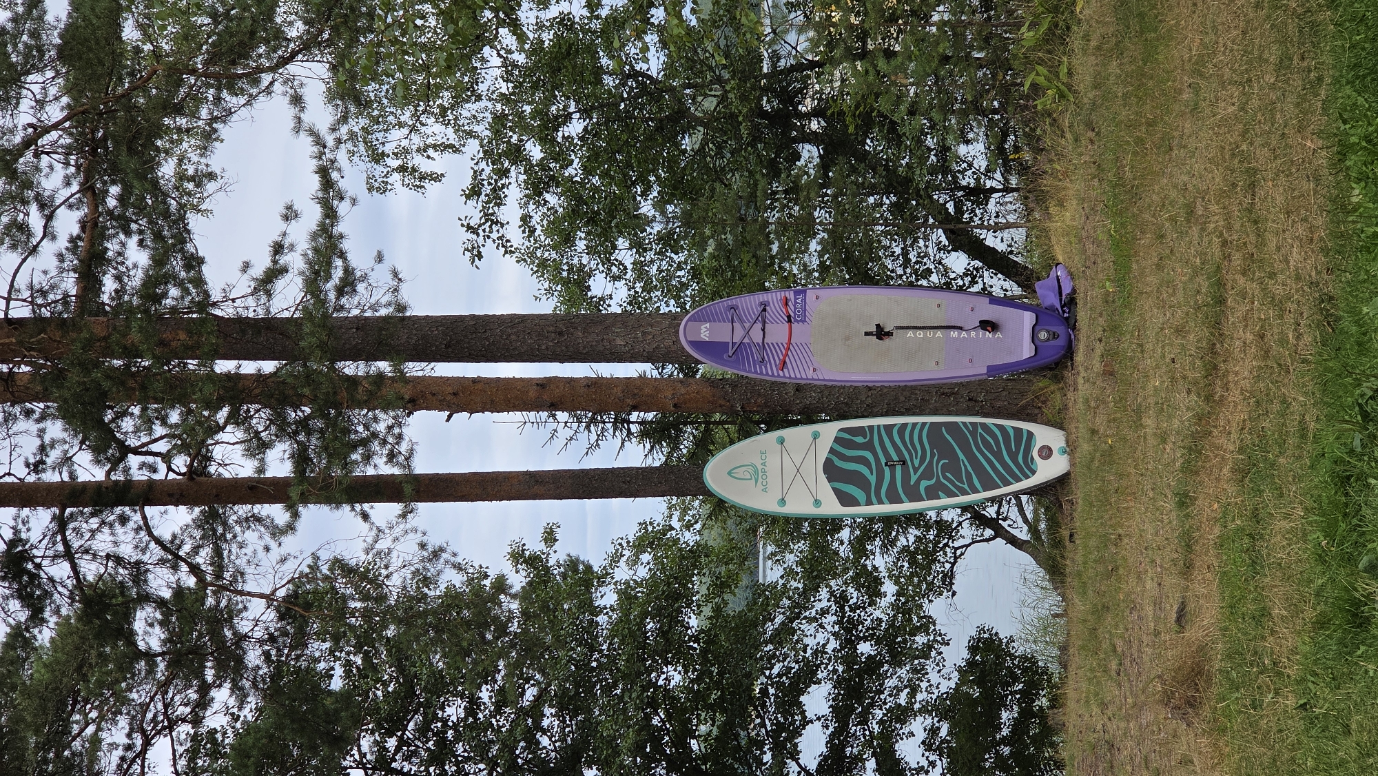 The image shows two stand-up paddleboards leaning against trees near a body of water. The paddleboard on the left is white with a teal and black striped pattern. The paddleboard on the right is purple and has the brand name "Aqua Marina" visible. A purple paddle is lying on the ground near the right paddleboard. The background consists of trees, grass, and a cloudy sky. The scene is outdoors, likely in a park or recreational area. There is no indication that this location is in Zerkal'nyi, Russia.