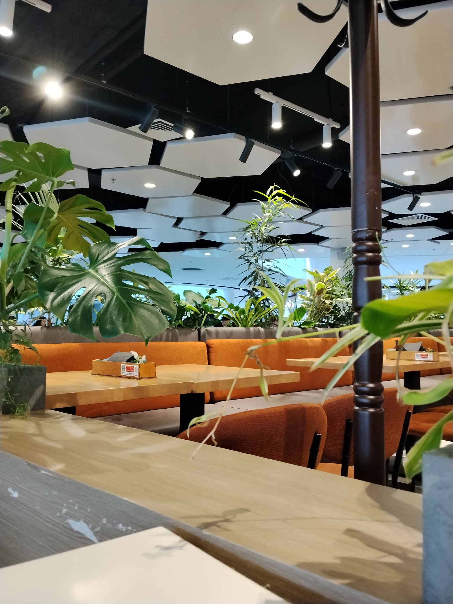 The image captures a section of a restaurant interior, likely located in Moscow, Russia. The decor includes a mix of natural and artificial elements. There are several tables, some set up with wooden surfaces and orange upholstered seating. Tall plants, including Monstera, are used as part of the decorative scheme, creating a partition between different seating areas. The ceiling features a modern design with hexagonal white panels against a black background, interspersed with spotlights. A dark brown support column is visible in the foreground, partially obscuring the view of the seating area. The overall impression is that of a contemporary and relaxed dining environment.