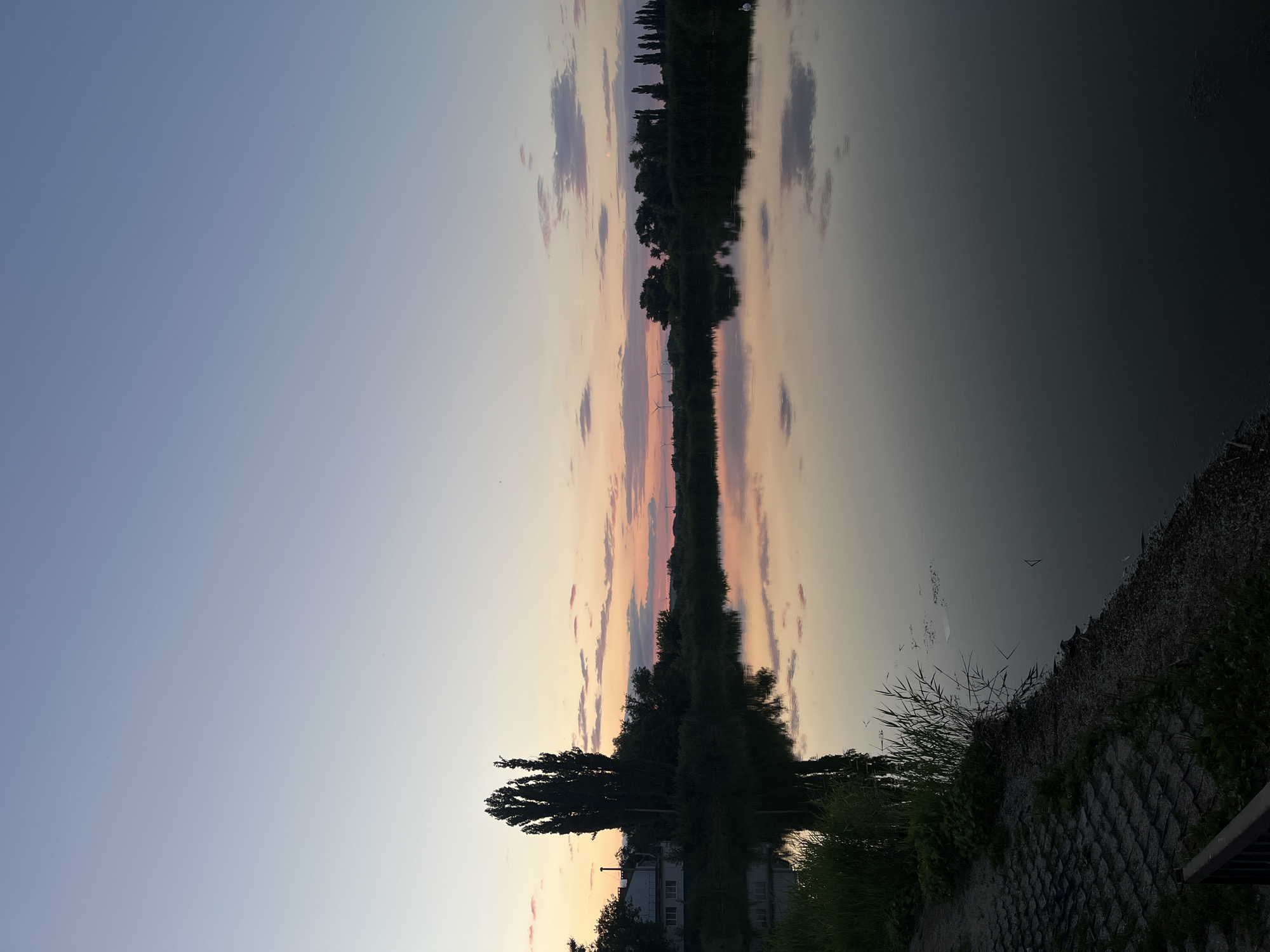 The image depicts a serene waterscape at dusk, likely on the outskirts of Kotovo, Russia. A calm body of water dominates the foreground, reflecting the soft pastel hues of the sky and the silhouettes of trees and structures along the opposite bank. The sky transitions from a pale blue at the top to warmer shades of pink and orange near the horizon, where scattered clouds are visible.
On the left bank, a white building with a dark roof and a chimney is partially obscured by dense vegetation. A tall, slender cluster of trees stands prominently near the building. Further along the bank, more trees and reeds are present, and two wind turbines can be seen in the distance. On the right side of the water, the bank is lined with trees and reeds, and a white swan is visible near the edge.
The foreground on the left shows a paved area with a textured surface, possibly a pathway or embankment, with some green vegetation growing alongside it. The water itself is dark and reflective, mirroring the environment with remarkable clarity. The overall atmosphere is peaceful and tranquil, characteristic of a quiet evening by the water.