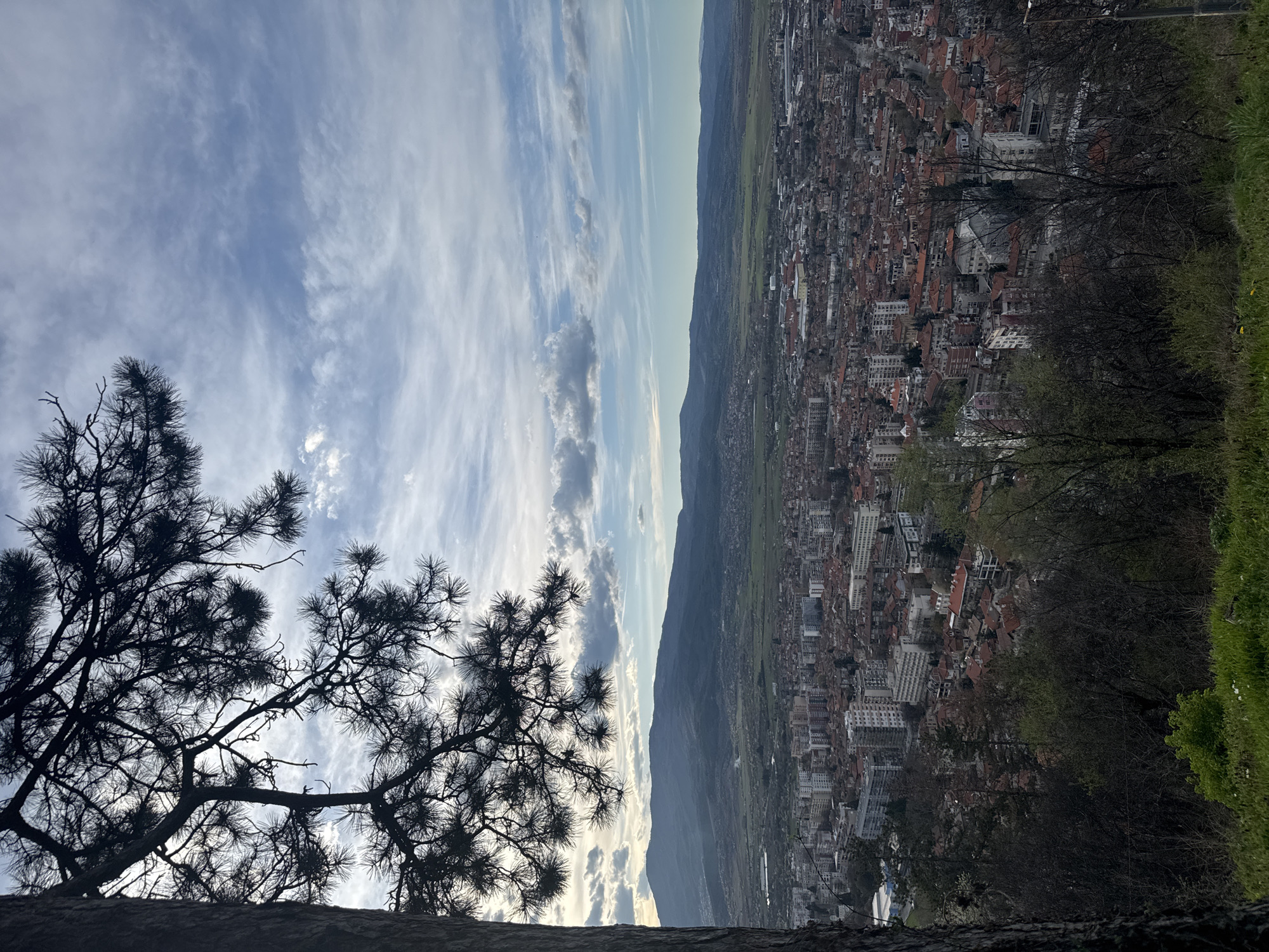 A panoramic view from Hisarlaka Park in Kyustendil, Bulgaria, shows a dense cityscape transitioning into a verdant valley, framed against a sky streaked with cirrus clouds. In the foreground, a silhouetted tree branch extends into the view.