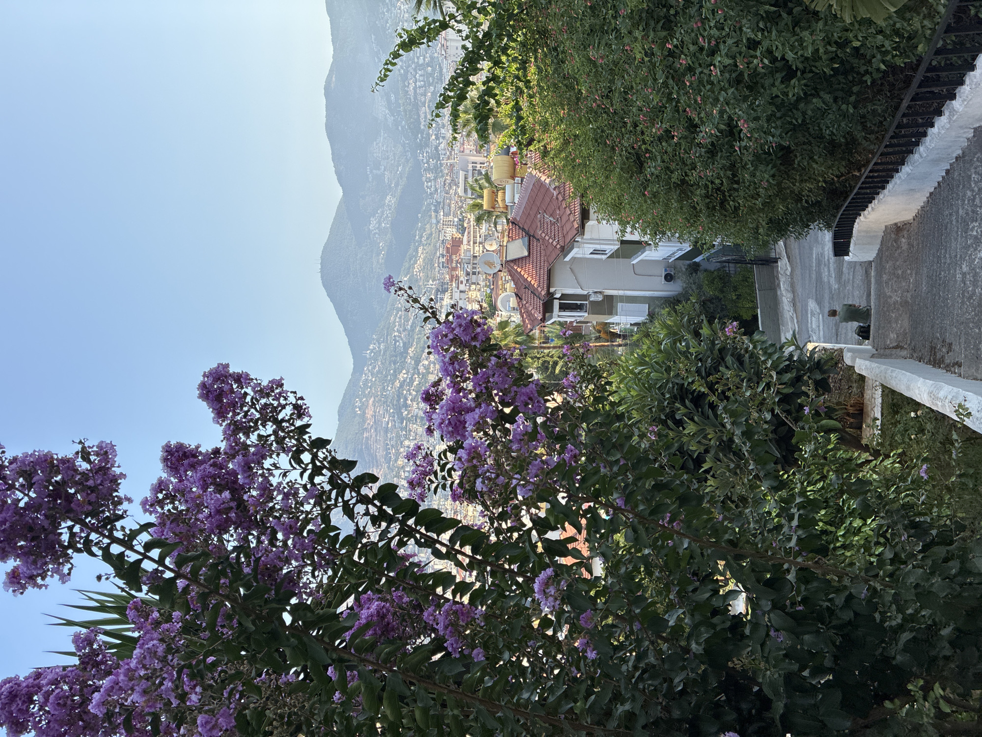 In Alanya, Turkey, a man sits on a concrete staircase, facing away from the camera. He is wearing a green shirt and has a backpack next to him. The staircase is lined with white concrete railings and a black metal fence. Lush green foliage and purple flowering trees frame the foreground, obscuring parts of the view. Beyond the immediate greenery, a city with red-tiled roofs unfolds, nestled against the backdrop of hazy, mountainous terrain. The sky is clear and light blue.