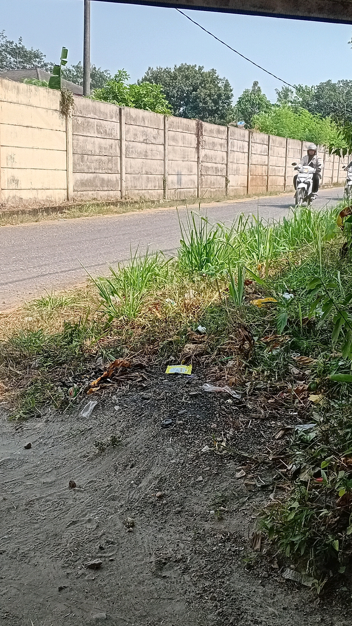 The image depicts a roadside scene in Jambi, Indonesia. A concrete wall runs along the side of a paved road, with lush green vegetation growing on the side of the road and in front of the wall. The road appears to be a two-lane street. A man is riding a white motorcycle on the right side of the road, wearing a helmet and a light-colored shirt. Another motorcycle is partially visible behind him. The foreground shows a rough, unpaved shoulder with scattered debris, including plastic bags and other trash. The ground is a mix of dirt, gravel, and dry leaves. In the distance, trees are visible above the concrete wall, and the sky is clear blue. The overall impression is of a semi-urban or rural roadside environment.