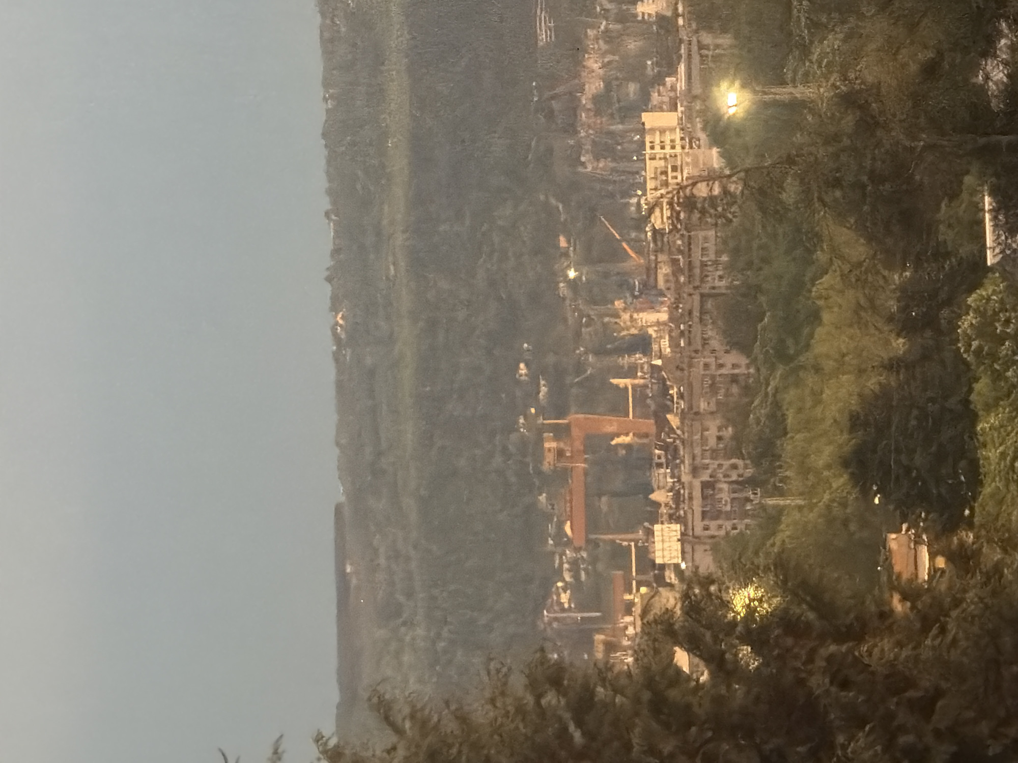 The image shows a cityscape at dusk, likely in Varna, Bulgaria. It is a view from a slightly elevated position, possibly a hillside. The horizon is dominated by a large, green area that seems to be a dense forest or park. To the right of the forest area, there is a clustered cityscape with buildings varying in height. The artificial lights in the buildings illuminate the buildings. There is a taller building on the right. In the foreground, there is a silhouetted area of leaves and branches. The sky is a muted blue, indicating it is either dusk or dawn.