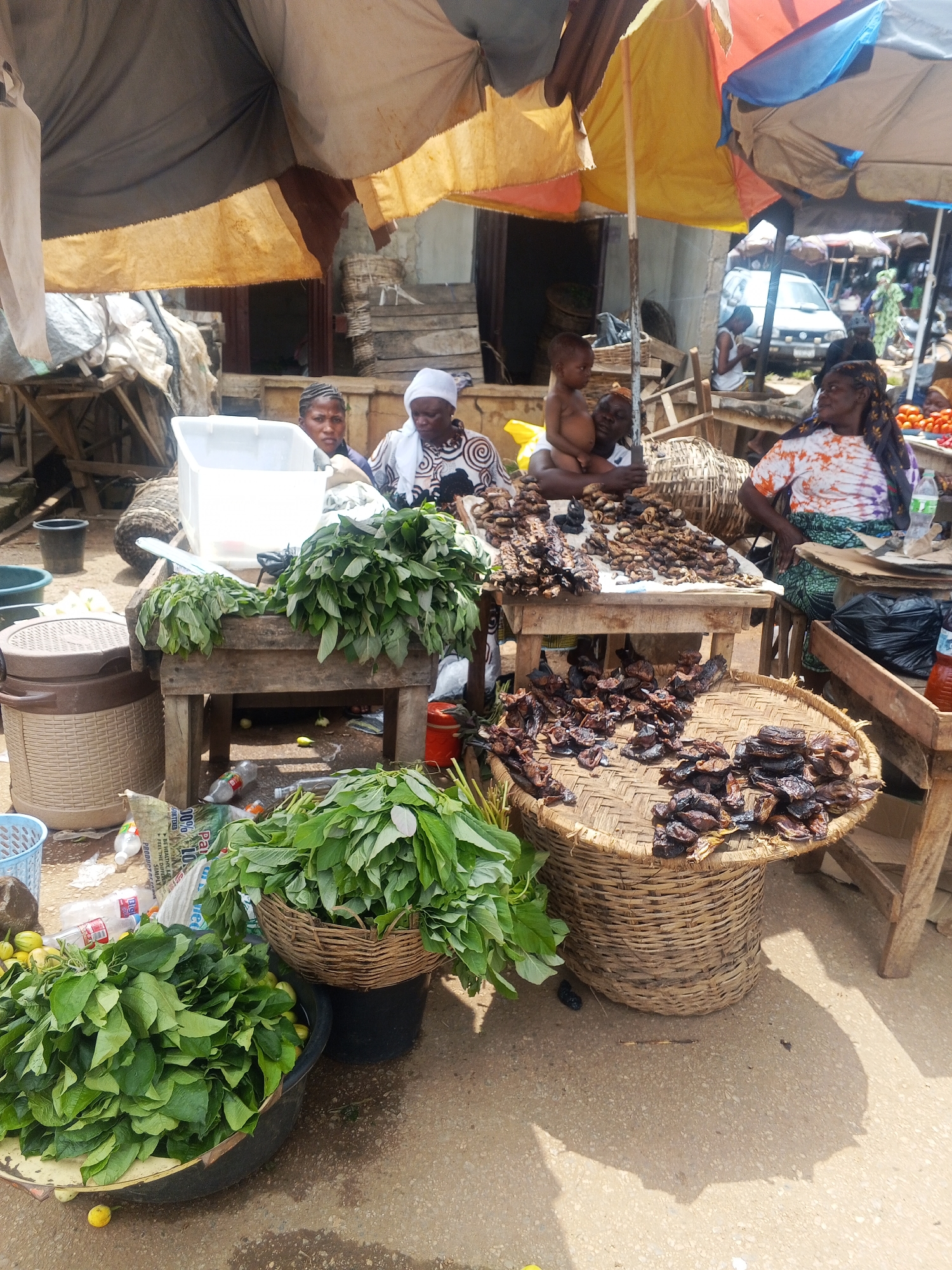 A medium shot captures an outdoor market scene in Kabba, Nigeria. In the foreground, several people are visible. Two women are seated behind a wooden table laden with what appears to be dried fish. One woman wears a white headscarf and a patterned dress, while the other has braids and a patterned top. A baby is held by a person, possibly a third woman, partially obscured in the background. The market stalls are covered by colorful tarpaulins, providing shade.
Various items are displayed for sale. Bunches of leafy green vegetables are prominent, some in a large dark bowl in the left foreground, and others in a woven basket on a raised platform in the mid-ground. Piles of dried fish are arranged on wooden surfaces and a woven tray. Bags, plastic containers, and bottles are scattered around the market floor, suggesting a busy commercial environment. The ground is paved with rough concrete. In the background, a car and more market stalls can be seen, hinting at the broader scale of the marketplace. The overall impression is of a vibrant, bustling local market.
