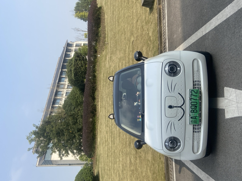 A white car with cat-like details sits on pavement next to grass. The car's front features drawn whiskers and a nose-like indentation above the license plate, which reads "A-BQ00772." The car has a black roof and side mirrors, and small black "cat ear" attachments on the roof near the windshield. A large building and greenery are visible in the background, suggesting a campus or park-like setting.