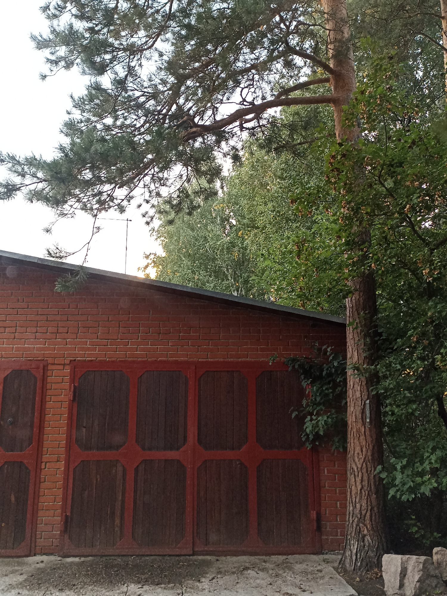 This image captures the facade of a red brick garage with several wooden doors, likely in a rural or suburban setting. The garage is partially obscured by lush green foliage and a prominent tree trunk to the right. The doors are segmented into octagonal panels, painted a dark reddish-brown, with a single door on the far left appearing to have a circular lock. The roofline of the garage is visible, and a thin antenna extends upwards from behind it, silhouetted against a pale sky. The ground in front of the garage is paved with concrete and scattered with debris. Trees with green leaves and pine branches form a canopy overhead, creating dappled light and shadow. The overall impression is of a functional structure integrated with its natural surroundings. The image was taken in the city of Mochische, Russia.
