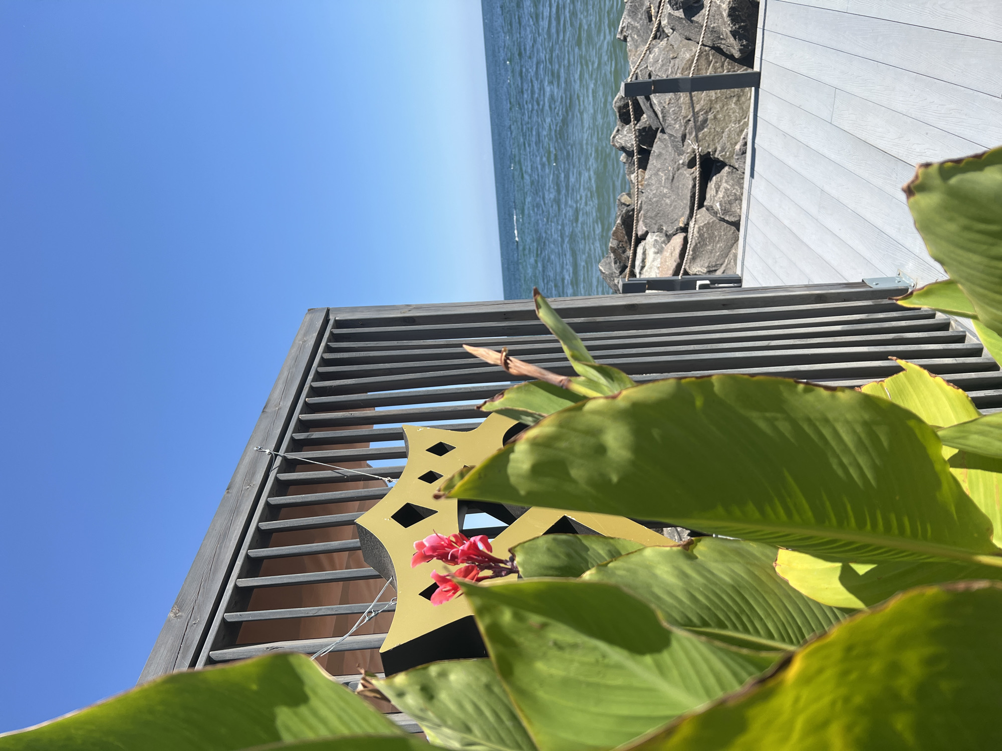 The image depicts a scenic view of the Black Sea coast in Odesa, Ukraine, on a clear, sunny day. In the foreground, lush green tropical leaves dominate the left side of the frame, partially obscuring a decorative golden shield-shaped emblem with diamond cutouts. Behind the foliage, a contemporary wooden structure with vertical slats is visible, possibly part of a beachside cafe or observation deck. The structure extends to the right, revealing a grey composite deck, a rocky shoreline, and the tranquil blue waters of the Black Sea. The horizon is clearly defined against a cloudless blue sky. No people are present in the image.
