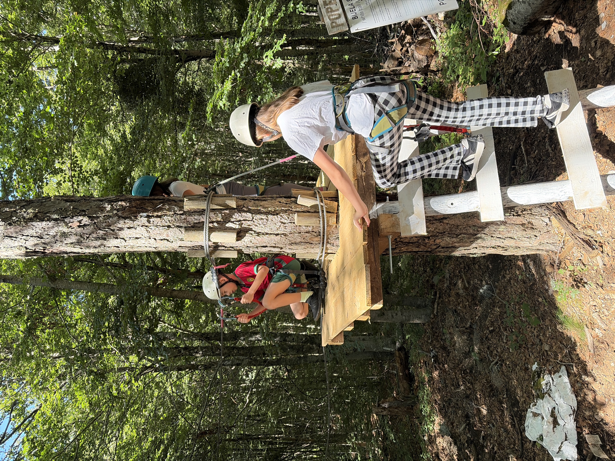 This image depicts an outdoor adventure park scene situated within a dense forest in Mali Bostur, Montenegro. The scene is illuminated by bright daylight, with sunlight filtering through the tree canopy.
Three individuals, identified as children, are visible, all equipped with safety helmets and harnesses, engaging with elements of a tree-based rope course. In the left-center of the frame, a child wearing a light-colored helmet, a red and green short-sleeved top, green shorts, and dark athletic shoes is crouched on a raw wooden platform. This individual is actively holding a red and black carabiner or pulley system, connected to a steel safety cable that stretches horizontally across the scene.
To the right, a second child, wearing a light-colored helmet, a white short-sleeved t-shirt, black and white checkered pants, and black and white athletic shoes, is ascending a white painted wooden ladder. This child's back is oriented towards the viewer, revealing a multi-colored safety harness with various attachment points and straps, as they step onto the same wooden platform.
Further back and partially obscured by the main tree trunk, a third individual wearing a turquoise helmet and a light-colored top is positioned on what appears to be a higher section of the wooden platform or behind the tree.
The central element of the structure is a large tree with textured bark, supporting multiple raw wooden platforms secured to its trunk with metal brackets and smaller wooden blocks. Steel cables, integral to the adventure course, are visible traversing the space, connecting various trees and structures.
The ground consists of a natural forest floor covered with an accumulation of dry leaves, soil, and scattered small rocks. A prominent fractured white rock is situated on the ground in the lower-left quadrant. The background is dominated by a dense growth of green deciduous trees, characteristic of a forest environment. On the far right, a partial view of a white sign is visible, displaying text that includes "POPE" and "BIJELA staza / white trail," indicative of course information or naming.