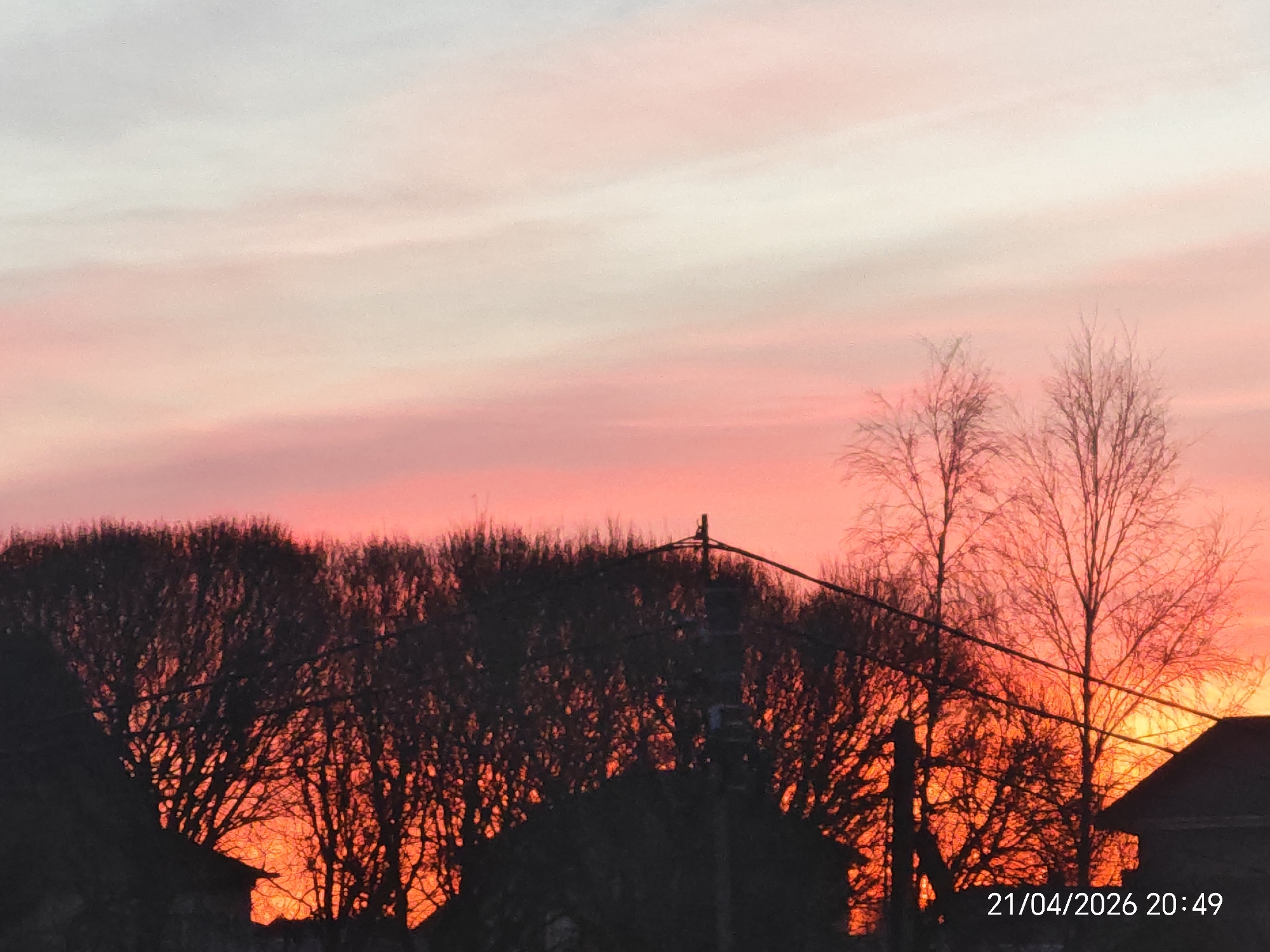 The image displays a vibrant sunset or sunrise casting intense colors across the sky, viewed from what appears to be a residential area. The sky transitions from a soft light pink and white at the top, through warm pastel pinks and oranges, to a fiery red and bright orange-yellow glow near the horizon. Faint, wispy clouds are visible across the upper portion of the sky.
Dominating the lower half of the frame are the dark silhouettes of numerous deciduous trees, their bare branches creating intricate patterns against the brightly lit sky. Their lack of foliage suggests a season like late autumn, winter, or early spring. Interspersed among the trees and at the very bottom of the image are the dark, angular outlines of rooftops or parts of buildings, indicating a built environment. A utility pole with several wires strung across it is also visible in silhouette, cutting horizontally through the middle ground.
The overall scene conveys a sense of calm and natural beauty, with the dramatic colors of the sky being the central feature. A timestamp in the bottom right corner reads "21/04/2026 20:49," confirming that the image captures an evening sunset.