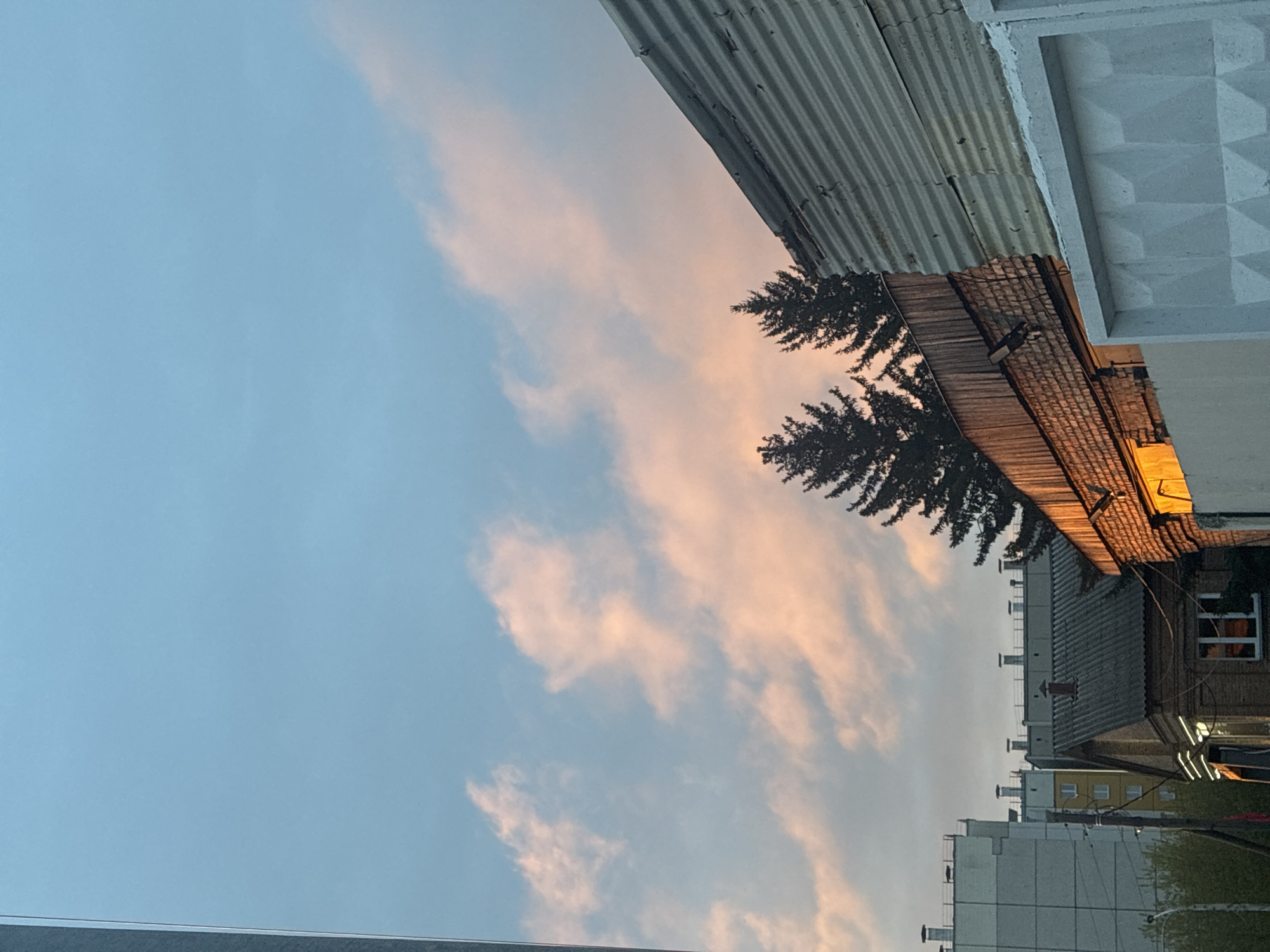 The image shows a view of the sky with light pink clouds, taken from an urban location. A corrugated metal structure is visible at the top, next to a white concrete element. Evergreen trees are positioned in the center, near the edge of a brick building. In the distance, other buildings of the city can be seen.