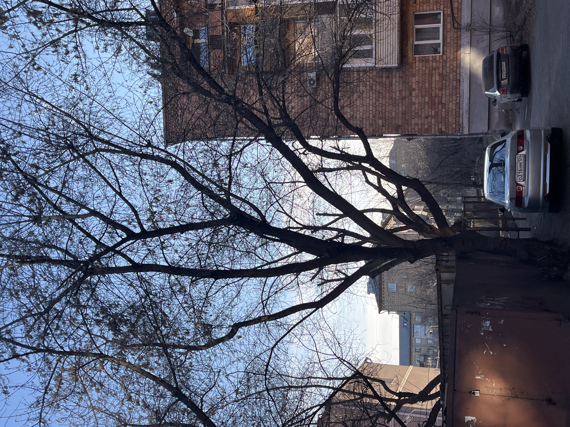 The image depicts a city street scene, likely during early spring or late autumn due to the bare trees in the foreground. The sky is light blue and visible through the branches. A brick building with multiple windows is present in the mid-ground. Adjacent to the building are two parked cars. One car is silver with a visible license plate "O316HM124" and the other is dark gray with the license plate "K473PM124". A metallic fence is present, partially obscuring a rusty, metal structure. The location is likely in an urban area of Unknown, Unknown.
