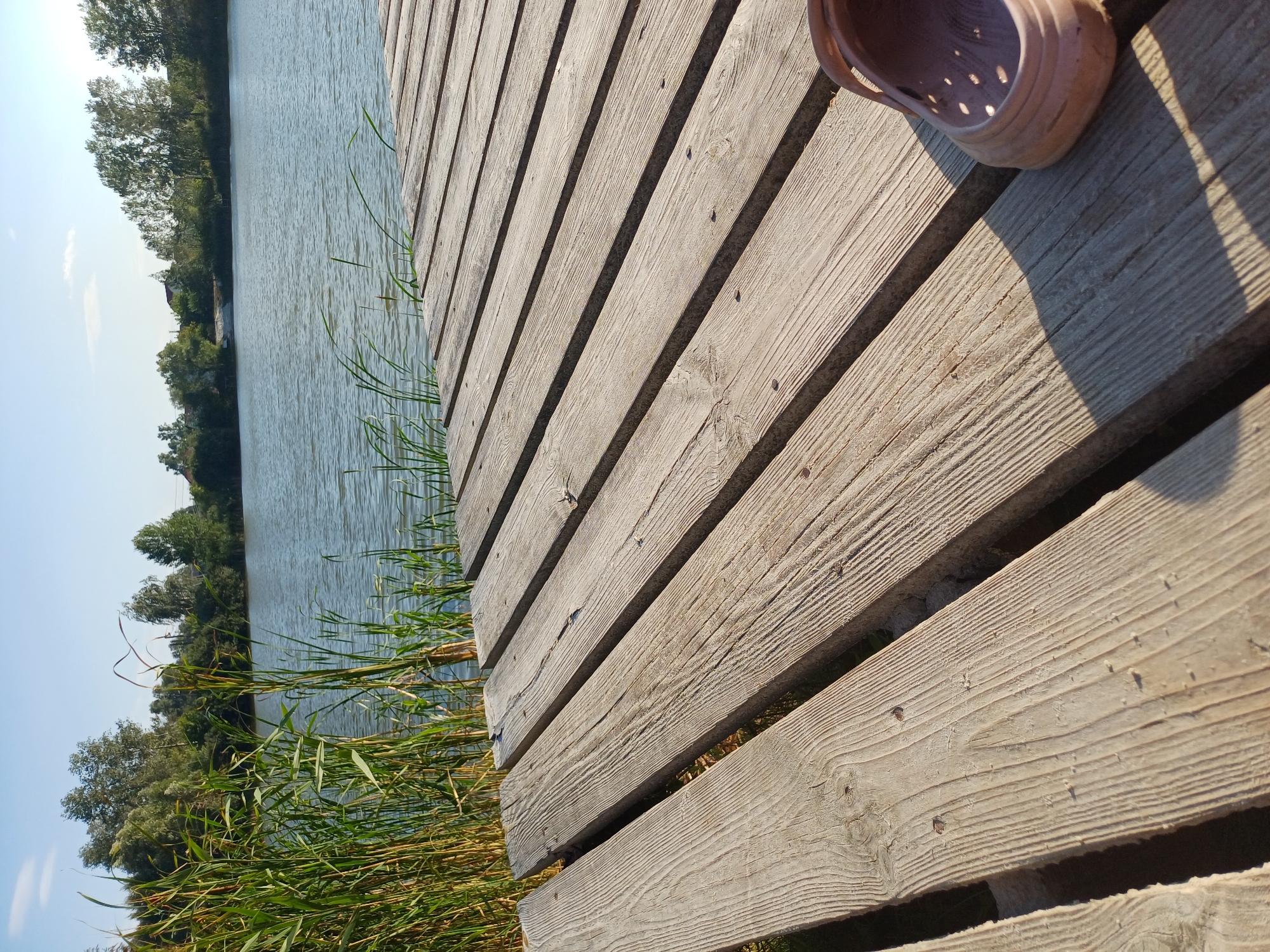 The image depicts a wooden pier extending towards a calm body of water, likely a lake or river, in Sulymivka, Ukraine. Reeds and lush green trees line the opposite bank, under a clear blue sky. The pier itself is constructed from weathered wooden planks, showing the grain and texture of the aged material. In the foreground, to the right, a single pink, perforated shoe, possibly a clog, rests on the planks, casting a long shadow. The scene suggests a peaceful, natural setting, possibly during a warm day.