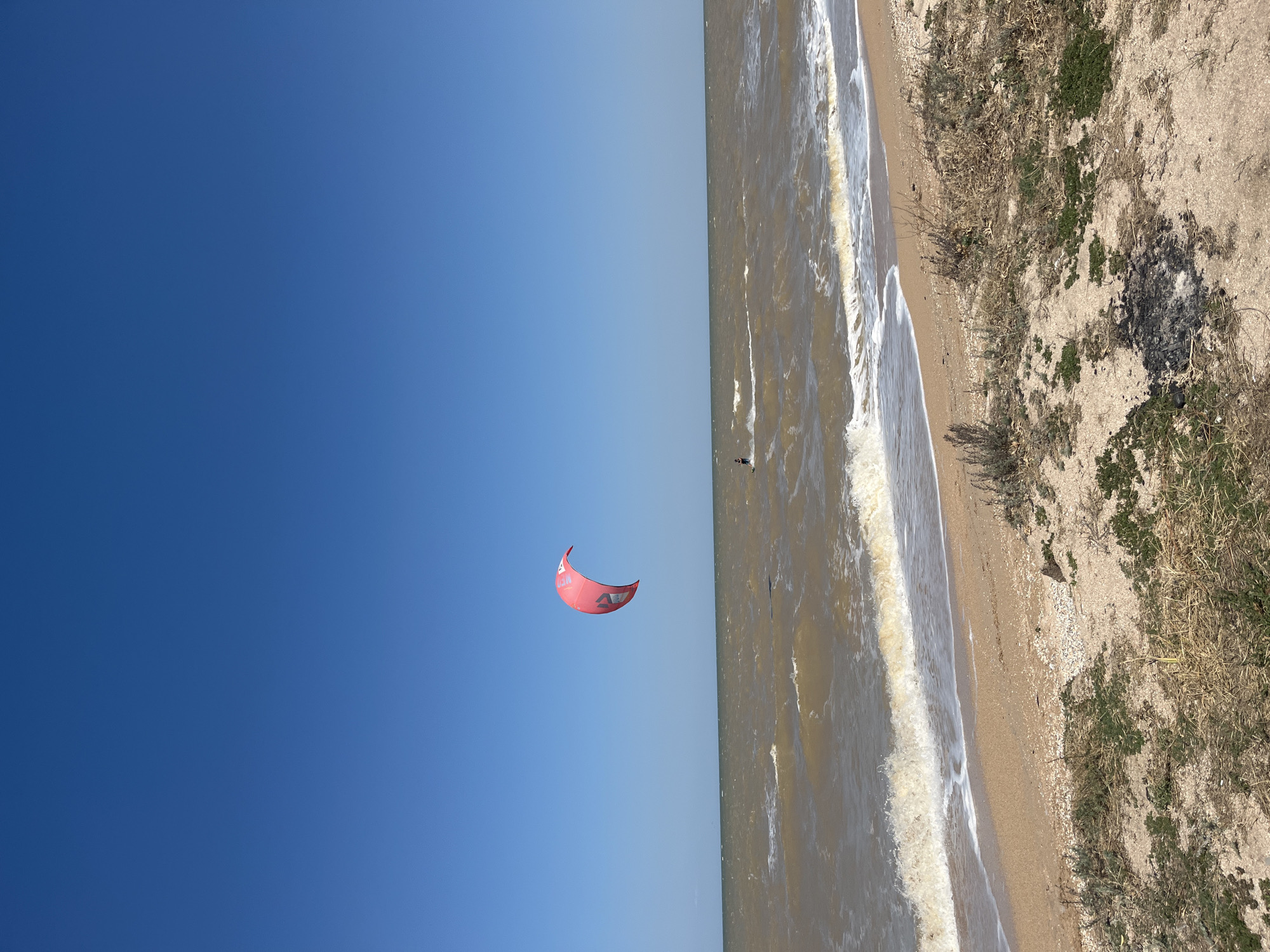 A bright pink kite is suspended in a clear blue sky above a choppy, light brown ocean. The kite is a crescent shape with black lettering. A kitesurfer, a dark silhouette, is visible in the water below the kite. The ocean meets a sandy beach in the foreground. The beach is lined with dry, sparse vegetation and shells. The scene depicts a bright, sunny day with a moderate breeze, suitable for water sports. The location is identified as Dolzhanskaya, Russia.