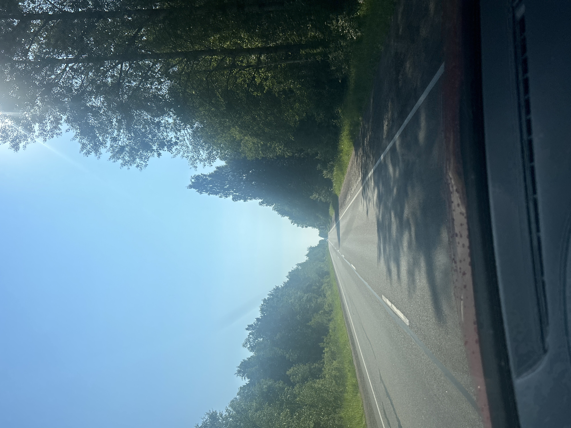 An eye-level, wide-angle shot captures a road winding through a dense forest under a clear blue sky. The sun, high and bright, glints off the upper left portion of the frame. The asphalt road, with a white dashed line dividing the lanes, stretches into the distance. Lush green trees line both sides of the road, their branches forming a canopy that casts dappled shadows on the pavement. The foreground shows the interior of a vehicle, including the dashboard and a hint of the windshield. The scene suggests a drive through a natural, possibly rural, area.