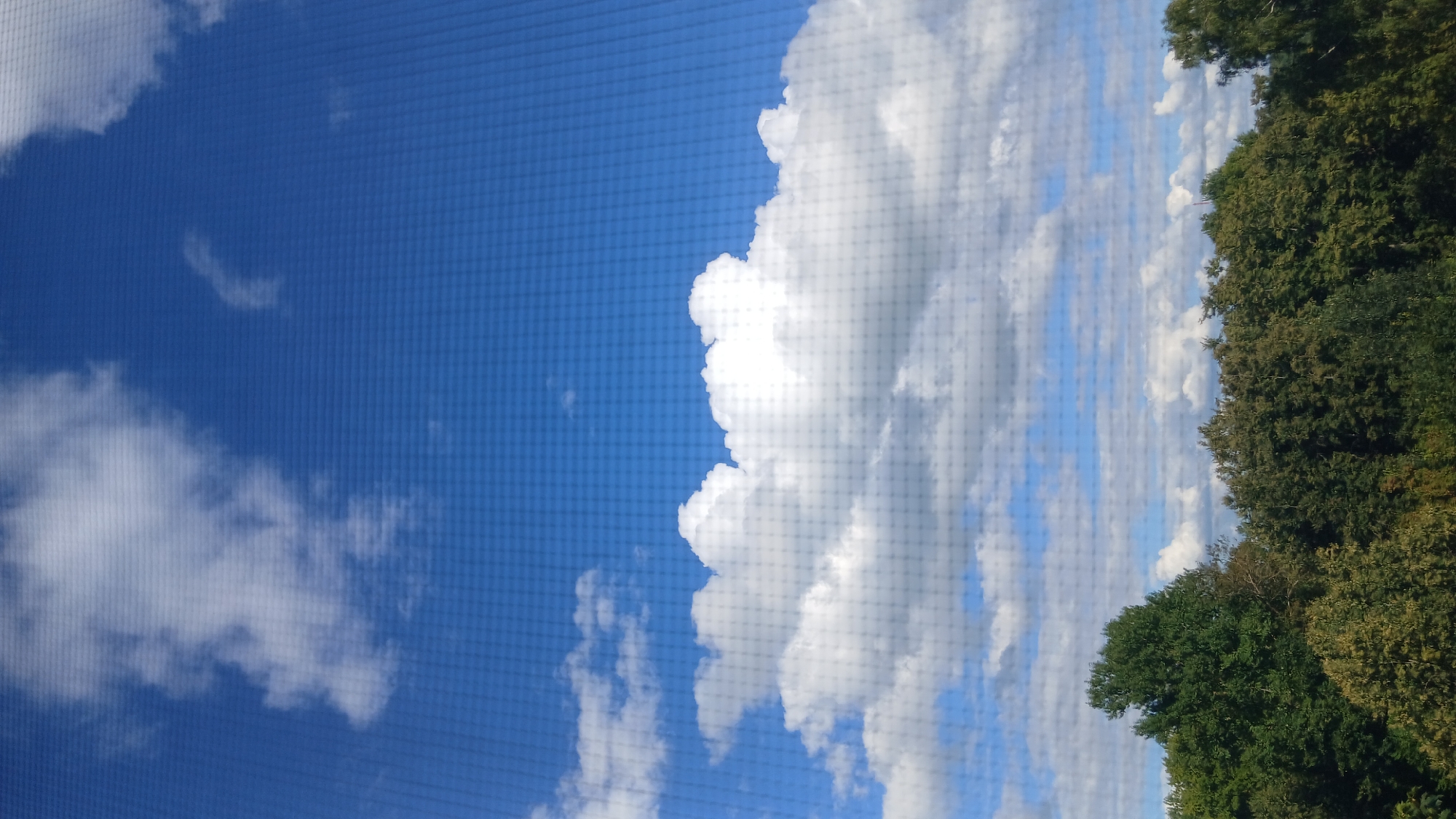 This is a vertical, full-frame, eye-level shot of a treeline against a bright blue sky with scattered white clouds. The image is overlaid with a fine grid pattern, suggesting it was captured through a screen or netting. The trees in the foreground form a dense, dark green canopy with varying shades indicating different species and foliage density. Above the treeline, the sky is a vibrant blue, populated by fluffy, cumulus clouds. A few smaller, wispy clouds are present higher in the sky. The lighting suggests it is daytime, with the sun illuminating the clouds from the side, creating highlights and shadows. There are no people or discernible structures visible. The scene is consistent with a natural landscape observed from a slightly elevated viewpoint in or near the city of Mozhaisk, Russia.
