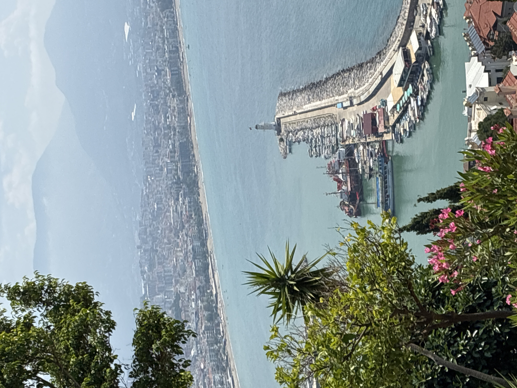 An aerial view captures the city of Alanya, Turkey, with a prominent harbor and lighthouse. The scene is dominated by the turquoise sea and a densely populated coastline. In the foreground, lush green trees and pink flowering bushes frame the view.
The harbor itself is a hive of activity, filled with a variety of boats. Numerous smaller vessels are docked along the pier, while larger ships, including a red and black boat with multiple decks, are anchored in the water. A long, stone breakwater extends into the sea, culminating in a white lighthouse topped with a flag, signaling maritime traffic.
Beyond the harbor, the city of Alanya sprawls along the coast, a mosaic of buildings with red-tiled roofs. A sandy beach borders the urban landscape, with the vast expanse of the Mediterranean Sea stretching to the horizon. In the background, misty mountains rise, creating a dramatic backdrop to the coastal city. The sky is partly cloudy, with a bright, hazy atmosphere. No people are clearly discernible in the image.