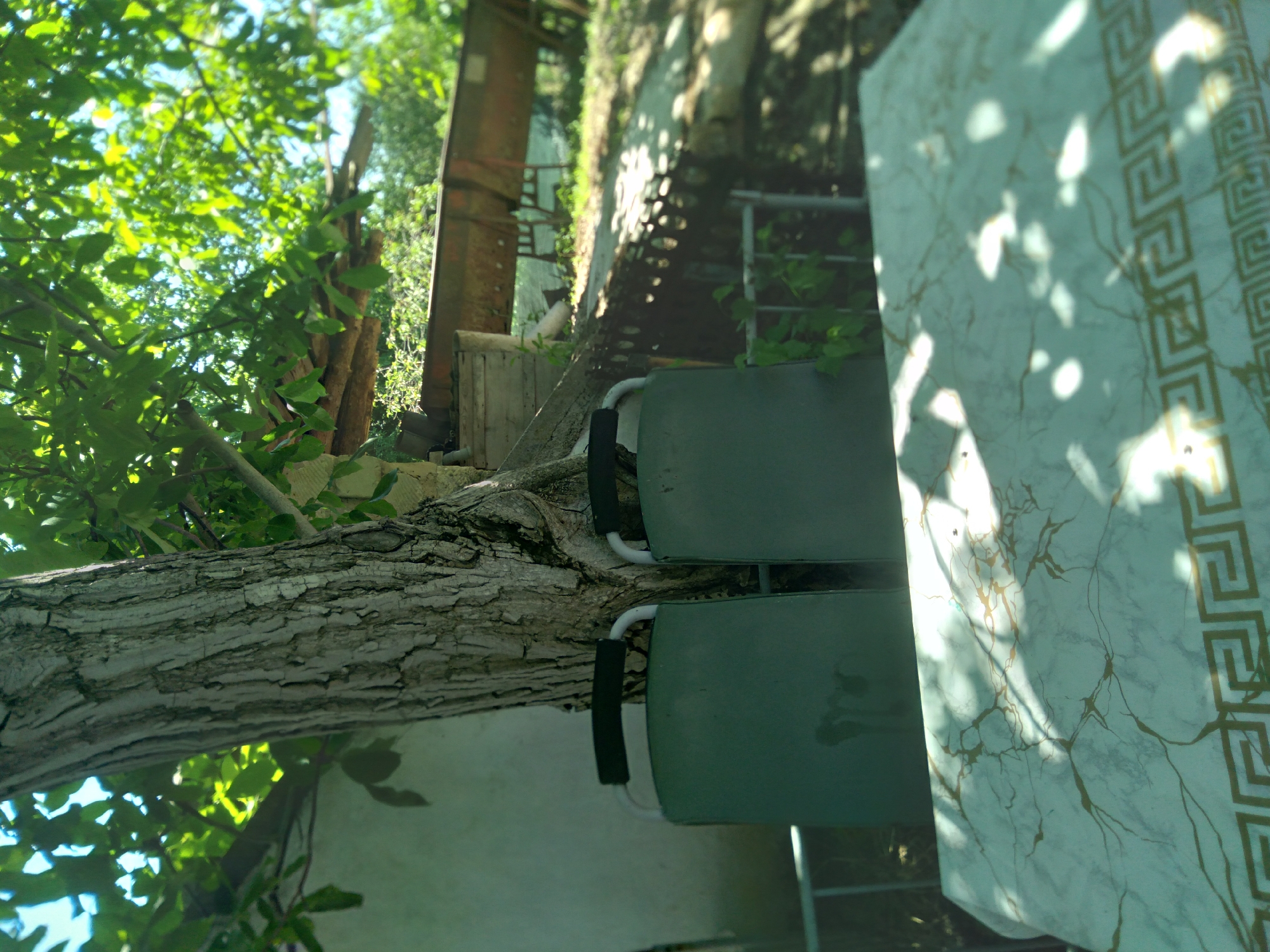 This image captures an outdoor scene, likely a garden or patio, under bright natural light. The prominent subject is a large tree trunk with deeply textured, light-colored bark, which extends horizontally across the left side of the frame (when viewed correctly, as the original image is rotated).
To the right of the tree trunk, two green outdoor chairs are visible, each featuring dark-colored armrests or handles. Further to the right, a rectangular table with a light surface occupies a significant portion of the image. The tabletop is adorned with a pattern resembling golden marble veins and a decorative Greek key border along one edge.
The scene is surrounded by lush green foliage and tree branches, with sunlight filtering through the leaves, casting distinct, dappled shadows onto the table and the ground below. This suggests a sunny day, likely midday or early afternoon. In the blurred background, various structures, possibly wooden fences or other garden elements, are faintly visible amidst more greenery.
There are no people present, and no specific activity is taking place, presenting a peaceful and static view of an outdoor seating area. The overall setting is natural and verdant. No visible text is present in the image.