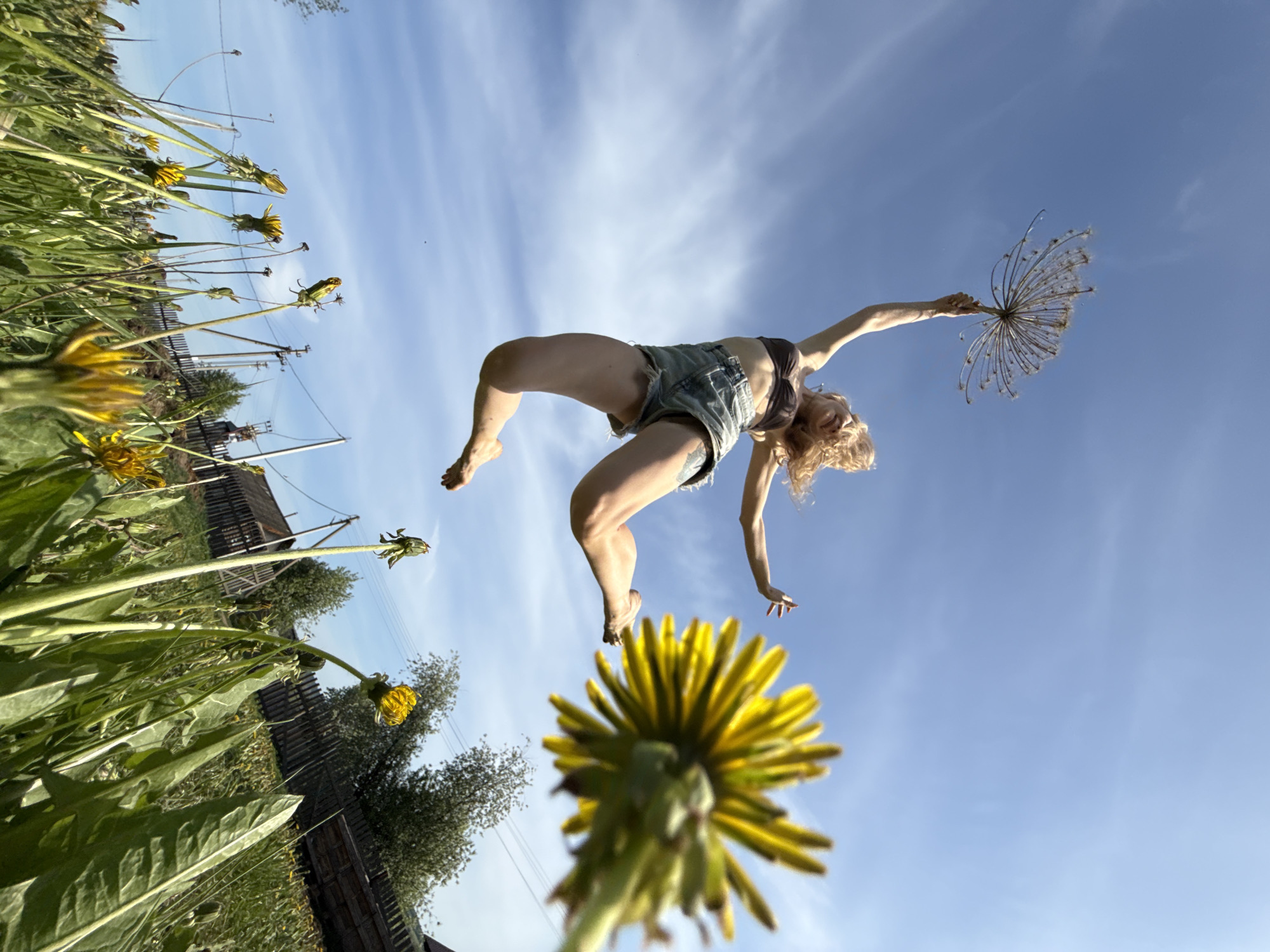 The image is a low-angle shot of a woman in mid-air against a bright, slightly cloudy blue sky. She is wearing a brown top and jean shorts. Her arms are extended, one holding a dried flower head. Below her are dandelions and other greenery, suggesting a field or meadow. In the background, there is a partial view of a wooden fence and a building.
The location is Усть-Тунтор, Russia.