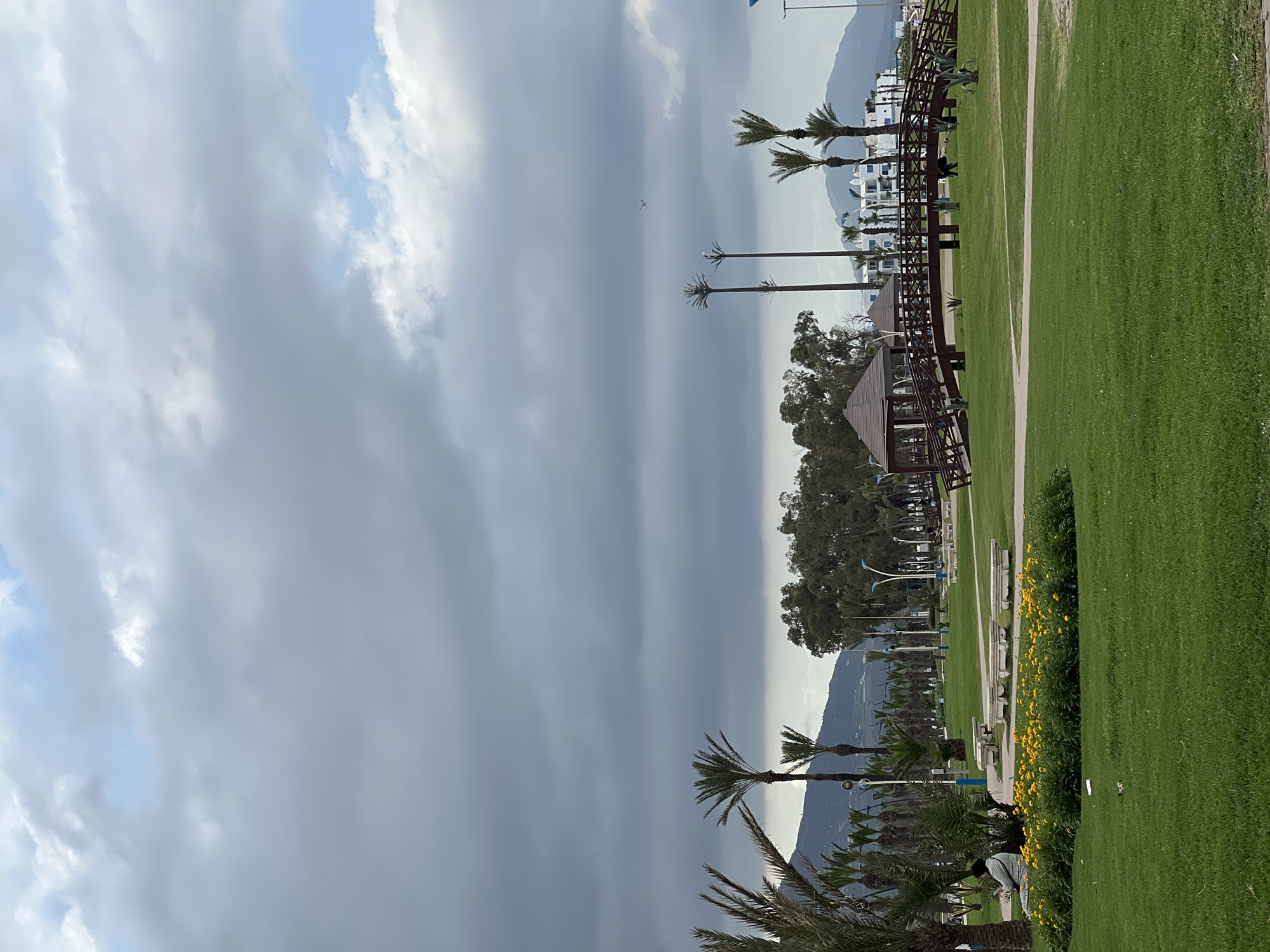 The image shows a park in M'Diq, Morocco. On the right, a large green lawn is bordered by a row of yellow flowers. To the left of the lawn is a series of exercise structures, palm trees, and wooden gazebos. In the background, white buildings are visible near a mountain range. The sky is overcast with dark, heavy clouds. A small bird is visible in the sky.