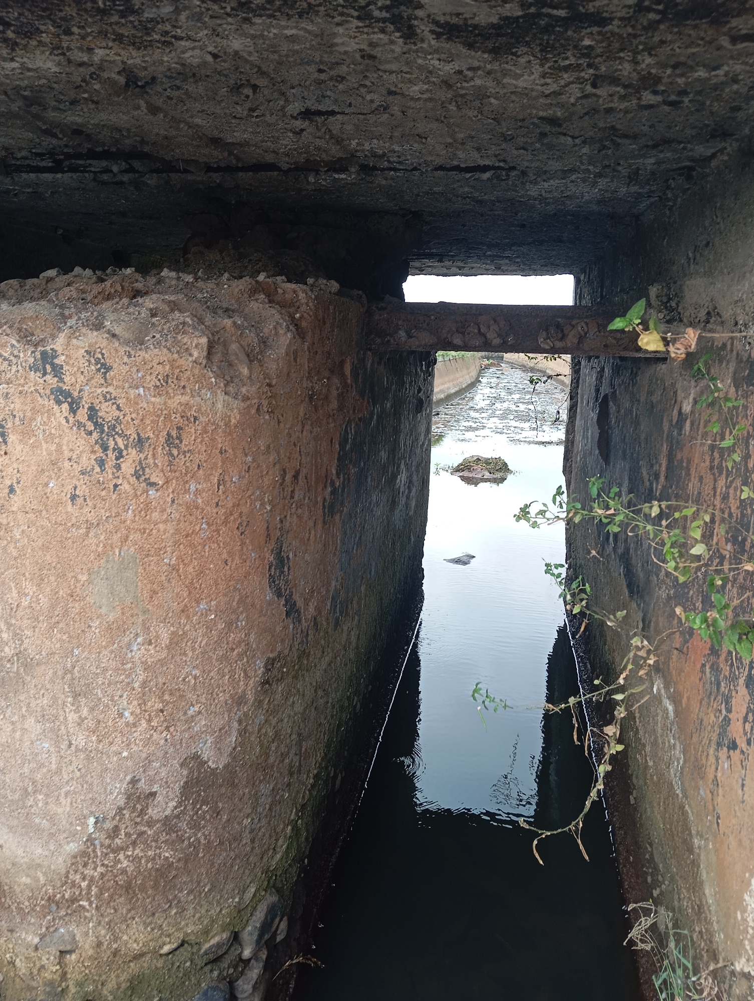 The image depicts a narrow, man-made channel of dark, still water. The channel is framed by rough, weathered concrete walls, with one side appearing more textured and reddish-brown, while the other is darker and stained. Overhead, a concrete structure creates a dark, enclosed space, with a rectangular opening that offers a view of the channel and the sky beyond. A rusty metal beam spans across the top of the channel, beneath the opening. Vegetation, including vines with green leaves and dried tendrils, grows along the edges of the concrete structures. The water surface is mostly calm, reflecting the sky, with some debris floating on it further down the channel. A small island of debris or vegetation is visible in the middle of the water. The scene suggests an outdoor, possibly neglected, drainage or water channel in an urban or semi-urban environment. The specific location is identified as Sokaraja, Indonesia.