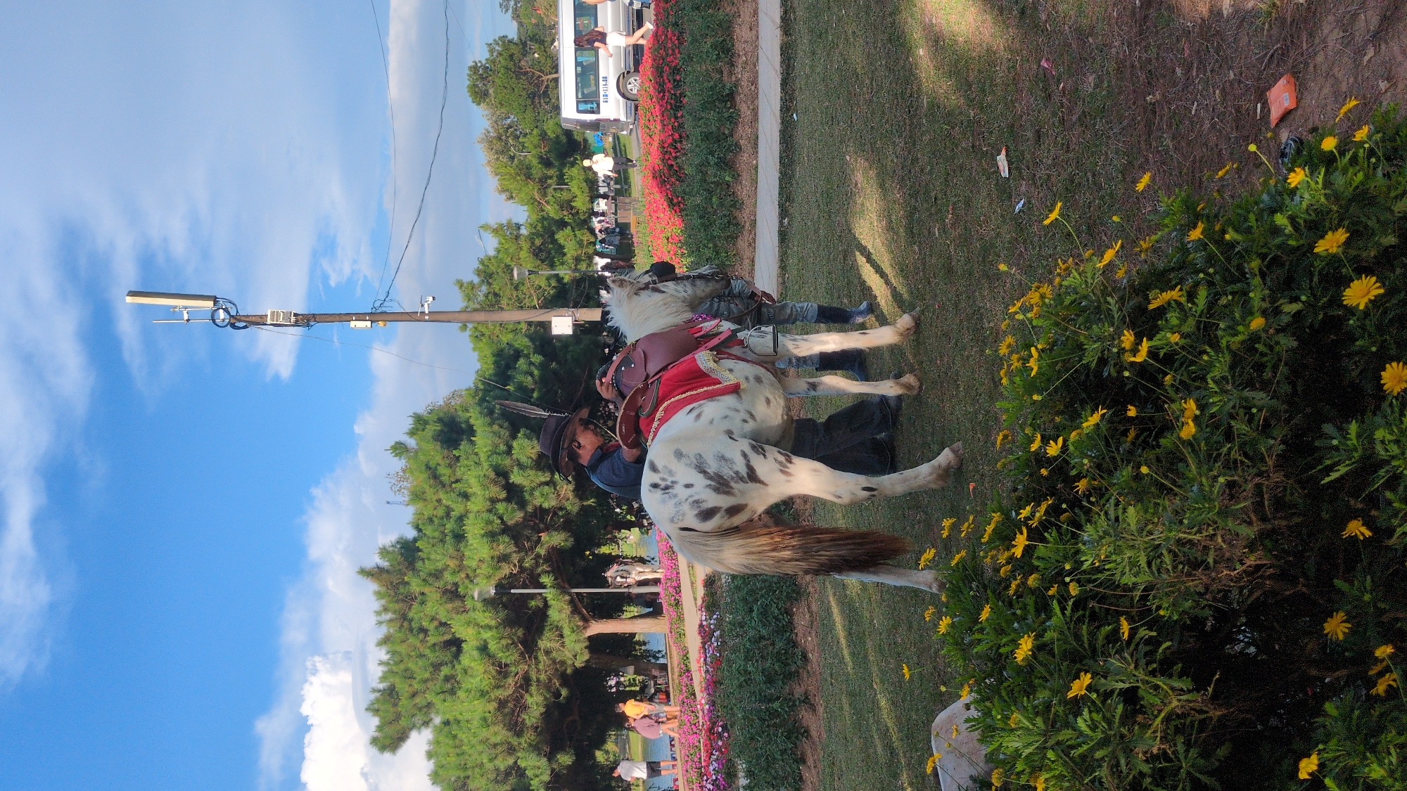 The image shows a man in a cowboy hat attending to a spotted horse with a saddle in a park. The horse is white with dark brown spots. The man is wearing a dark blue shirt and dark pants. In the background, there are several trees, a body of water, a flower bed with red and pink flowers, and some people walking. A white van is visible in the distance. There is also a utility pole with antennas on it. The scene appears to be set in a public park with a serene atmosphere. The flowers suggest it's spring or summer. The presence of the horse with a saddle and a person attending to it implies it might be part of a recreational activity or tourist attraction. The general ambiance suggests a pleasant day outdoors.