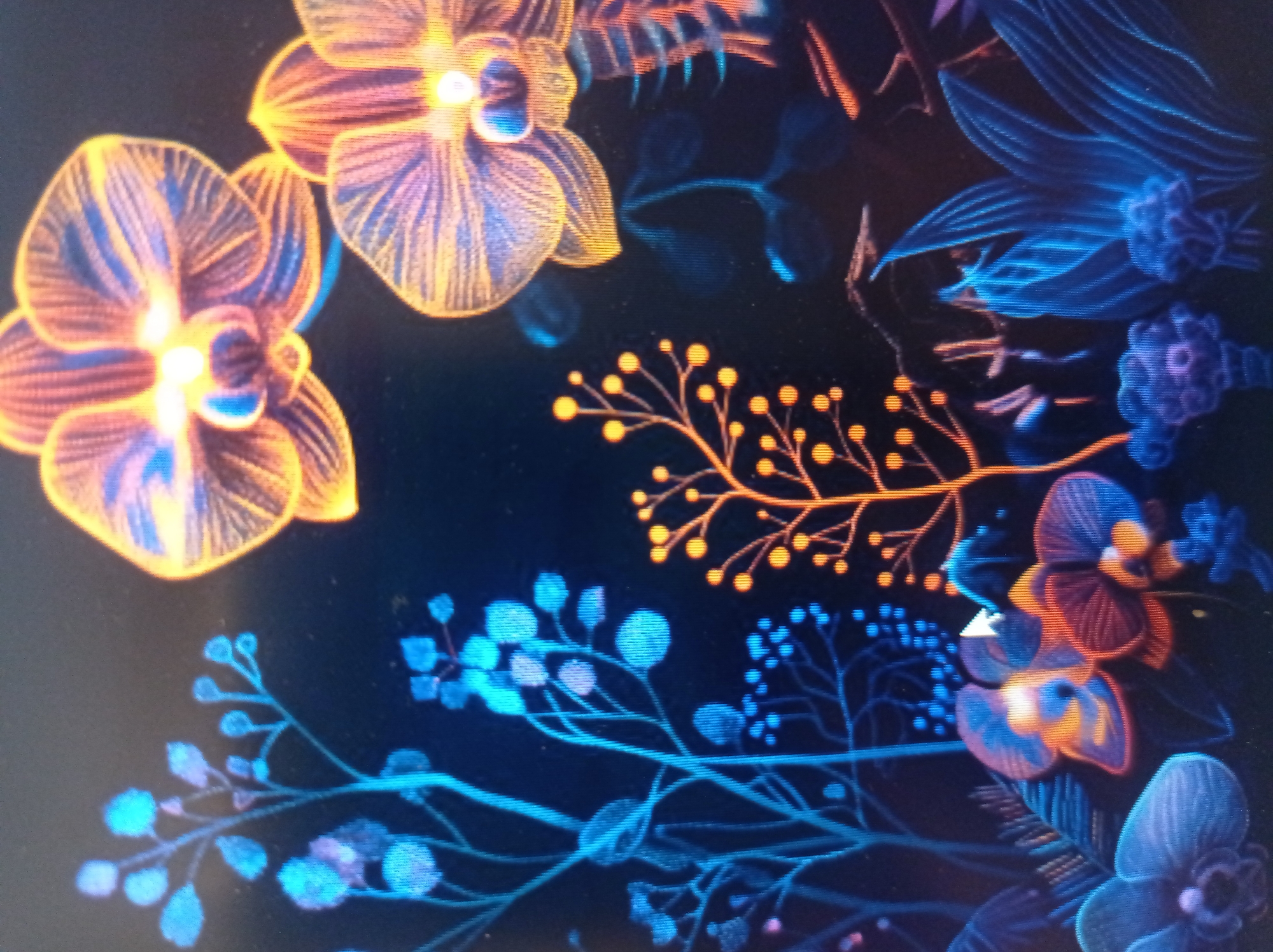 The image depicts a digital artwork featuring vibrant, glowing flora against a dark background. The composition is a close-up of stylized plants, including orchids with intricate, luminous petal patterns in shades of orange, yellow, and blue. Various other botanical elements, such as thin branches with small glowing dots and broad, luminous leaves, are rendered in electric blues and purples. The artwork has a surreal, almost bioluminescent quality. There are no people visible in the image, and no discernible connection to the city of Mukachevo, Ukraine.