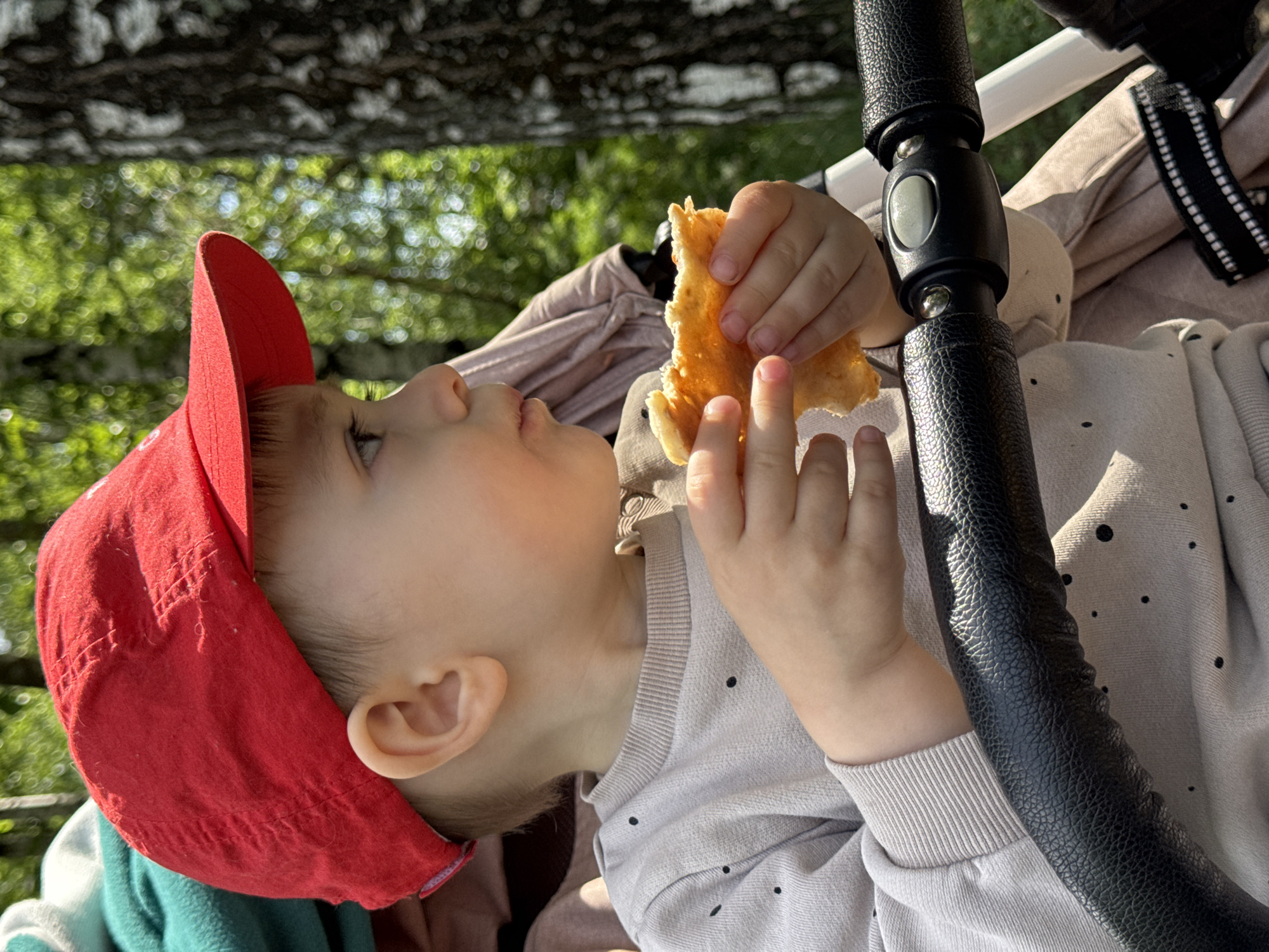 A child wearing a red cap is eating something in a stroller. The stroller has a black handle and a light-colored seat. The child is wearing a light grey sweater with black dots. The background is blurry, with green leaves and branches. The location appears to be outdoors, possibly in a park or wooded area. There is no information to associate this image with the city of Izhevsk, Russia.