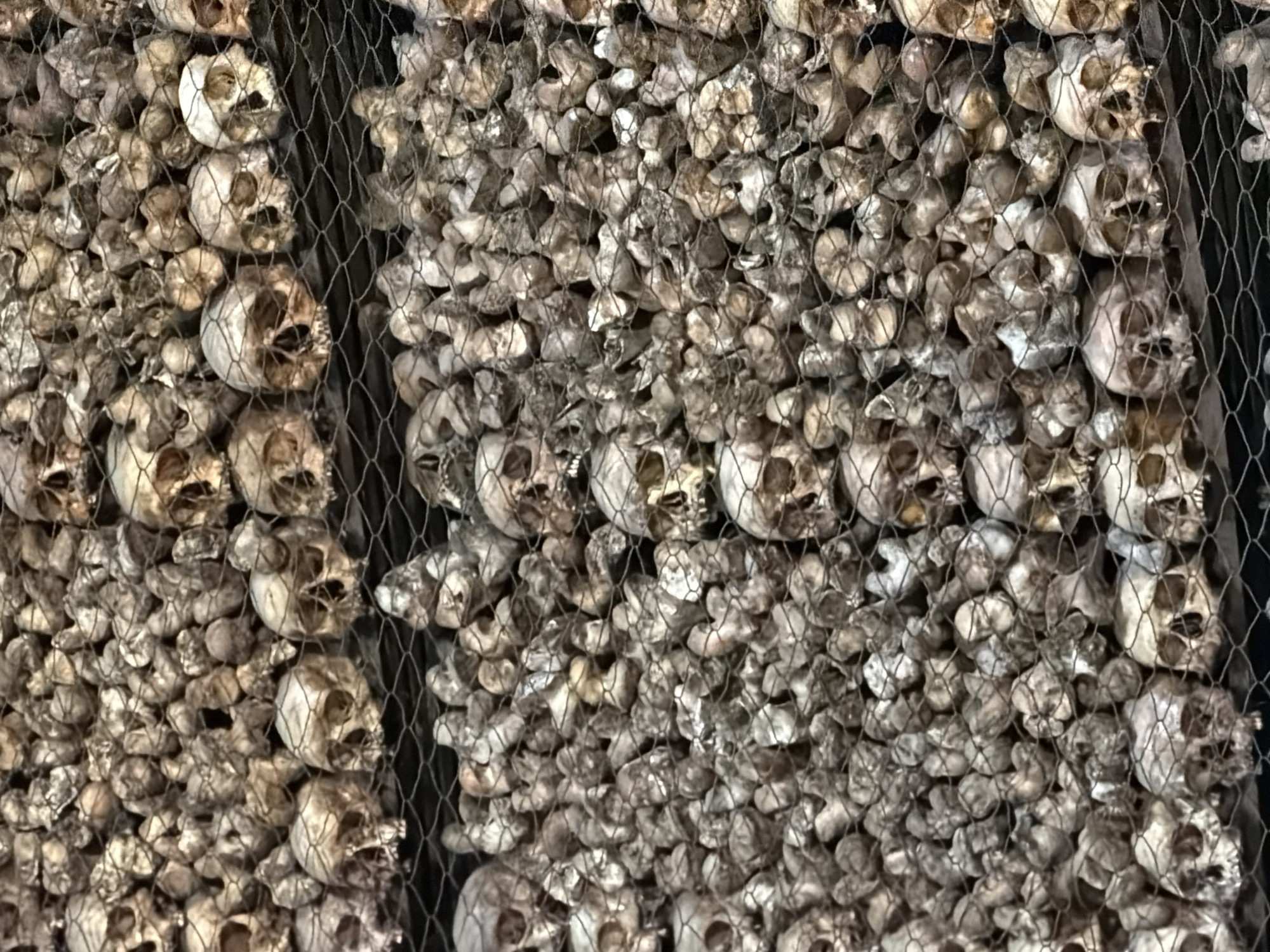 The image depicts a wall covered in human skulls and bones, viewed through a wire mesh. The skulls are densely packed, bleached white, and show varying degrees of decomposition and damage. Many smaller bones are mixed in amongst the skulls. This is a scene from the ossuary of San Bernardino alle Ossa church in Milan, Italy.