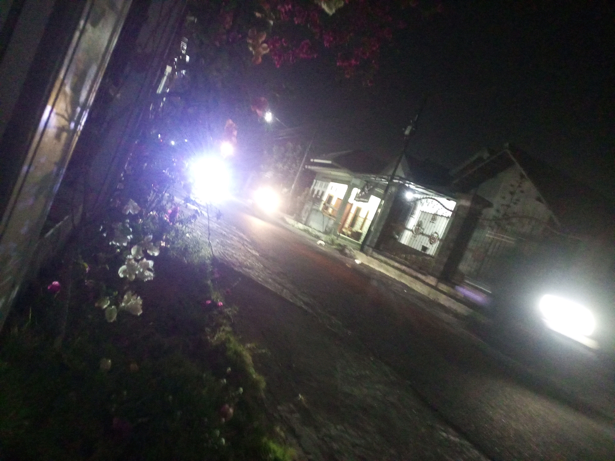 The image depicts a dark, outdoor scene, likely at night, with prominent street lighting and illumination from a building. In the foreground, to the left, a metal structure, possibly a fence or gate, is visible. The ground appears to be a paved road or pathway, wet and reflecting the ambient light. Vegetation, including what seem to be flowers, is present along the left edge of the road. In the mid-ground, a building with illuminated windows is seen. The bright lights from vehicles or street lamps are a significant feature, creating glare and obscuring details. The overall atmosphere is one of a dimly lit urban or suburban environment at night.