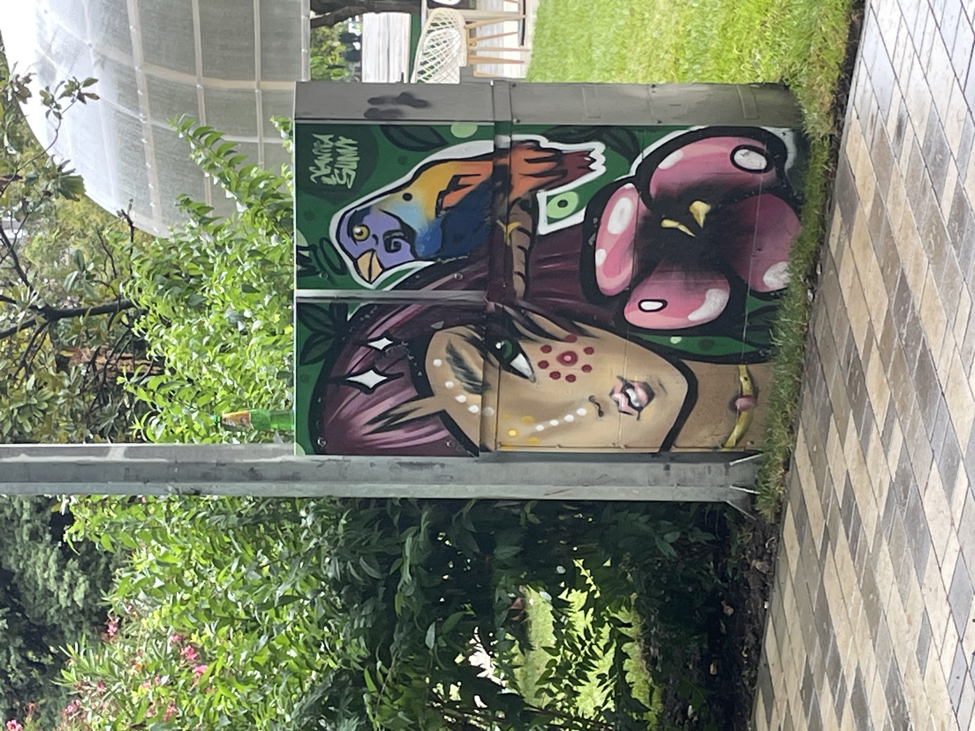 The image shows a utility box adorned with colorful graffiti art in an outdoor urban setting. The graffiti depicts a stylized portrait of a woman's face, featuring purple hair, large green eyes, and freckles. To the right of the woman's portrait is a vibrant depiction of a bird with purple, blue, yellow, and orange feathers. Below the bird, what appear to be pink cherries or berries are painted. The utility box is positioned next to a light-colored pole, with lush green foliage and trees in the background. A paved walkway with a checkered pattern of beige and grey tiles is in the foreground. In the background, there's a glimpse of a transparent, domed structure and outdoor furniture. The scene appears to be in a park or public space. This location is identified as being in Sochi, Russia.