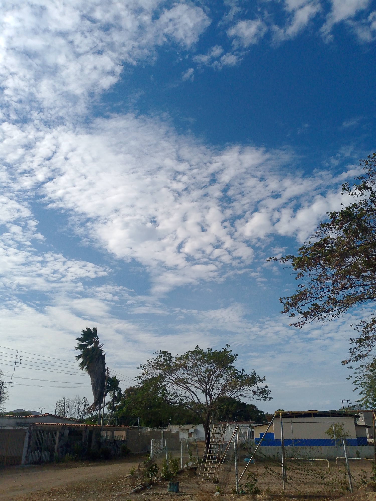 The image captures a daytime scene in Juan Griego, Venezuela. The sky is predominantly blue with scattered white clouds. In the foreground, there is a playground area with a ladder, and fencing. Behind the playground, there are residential buildings with visible walls and rooftops. The vegetation includes various trees. A palm tree stands out to the left, near power lines. The overall environment appears dry with a sandy ground.
