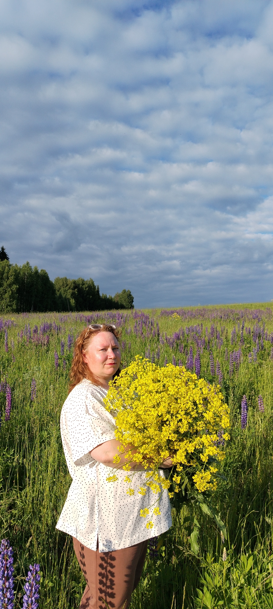 A forensic examination of the image reveals a vertical outdoor scene depicting an adult female in a field in Зипуново, Russia. The subject, a woman with reddish-brown hair and a fair complexion, occupies the lower central portion of the frame, angled slightly to her right, and gazing directly forward. She wears a white, short-sleeved top with small black polka dots and brown trousers. Sunglasses are positioned on top of her head. She is holding a large, dense bouquet of bright yellow flowers in her arms.
The immediate foreground and middle ground consist of a lush green field populated with numerous purple lupine flowers, which are tall and erect, along with other green foliage. A distinct shadow resembling plant stems is cast diagonally across the lower part of the woman's brown trousers, indicating a light source from the upper left. In the background, a dense line of trees, including both deciduous and coniferous species, marks the horizon. The sky above is partially overcast with numerous light grey and white clouds against a backdrop of pale blue.