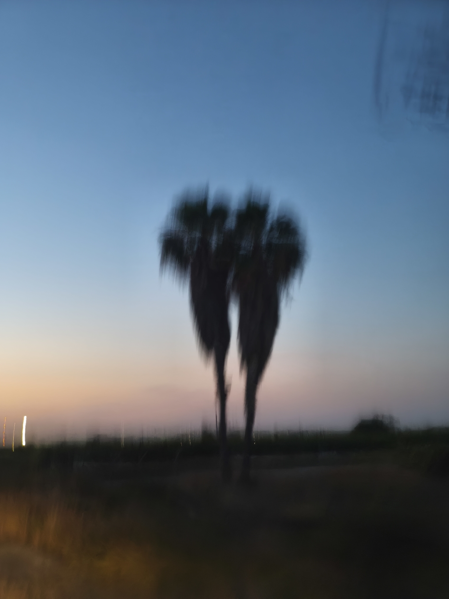 The image depicts a blurry, impressionistic scene of two palm trees against a twilight sky. The sky transitions from a clear blue at the top to a soft gradient of orange and pink near the horizon, suggesting a sunset or sunrise. The palm trees are silhouetted and their fronds are indistinct due to motion blur, giving them a wispy appearance. The foreground is a dark, out-of-focus expanse, possibly representing land or a road. Several vertical streaks of light, likely from distant streetlights or vehicles, are visible along the horizon line. The overall impression is one of a fleeting moment captured with deliberate motion. The location is specified as Alcàsser, Spain, suggesting this is a view of the local landscape at dusk or dawn.