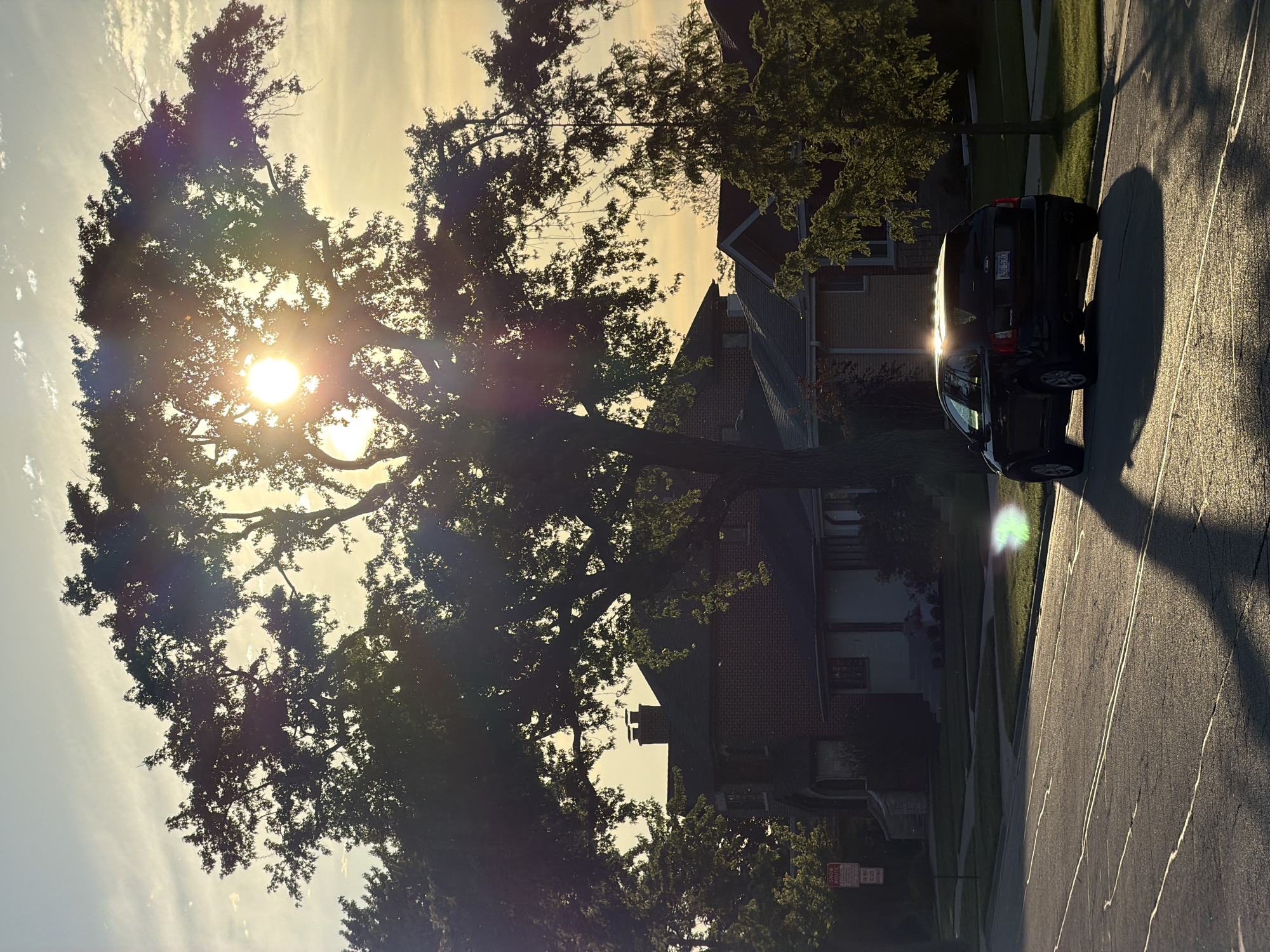 A medium shot captures a sun-drenched street scene in Niles, Illinois, United States of America. The sun, positioned behind a large tree on the left, creates a silhouette effect and flares from the camera lens. A dark-colored car is parked on the right side of the street, with its shadow cast diagonally across the pavement. Houses are visible in the background, adding to the residential setting. A "No Parking" sign is also visible in the background.