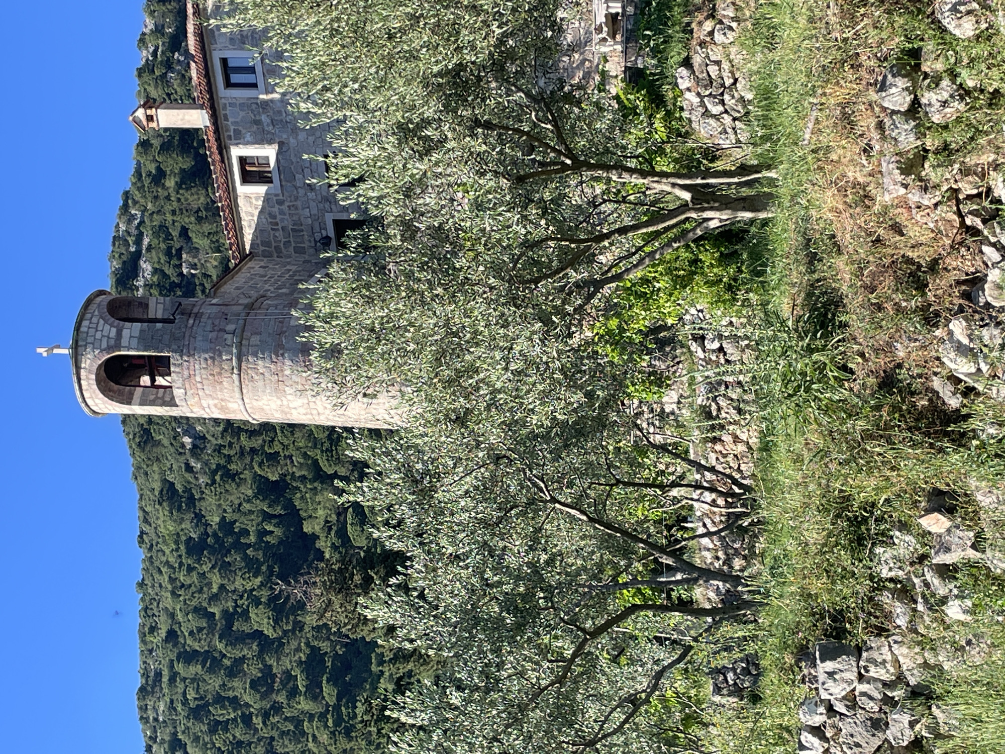 A westward-facing, medium, eye-level shot shows a stone structure with a round bell tower on the left side of the image, partially obscured by leafy trees in the foreground. The structure appears to be a church, possibly associated with the old town of Budva, Montenegro. The bell tower has a visible cross at its apex. To the right of the church is a stone wall covered in vegetation. In the background, a forested hillside rises towards the sky, which is a clear, pale blue. The shot is taken during daylight.