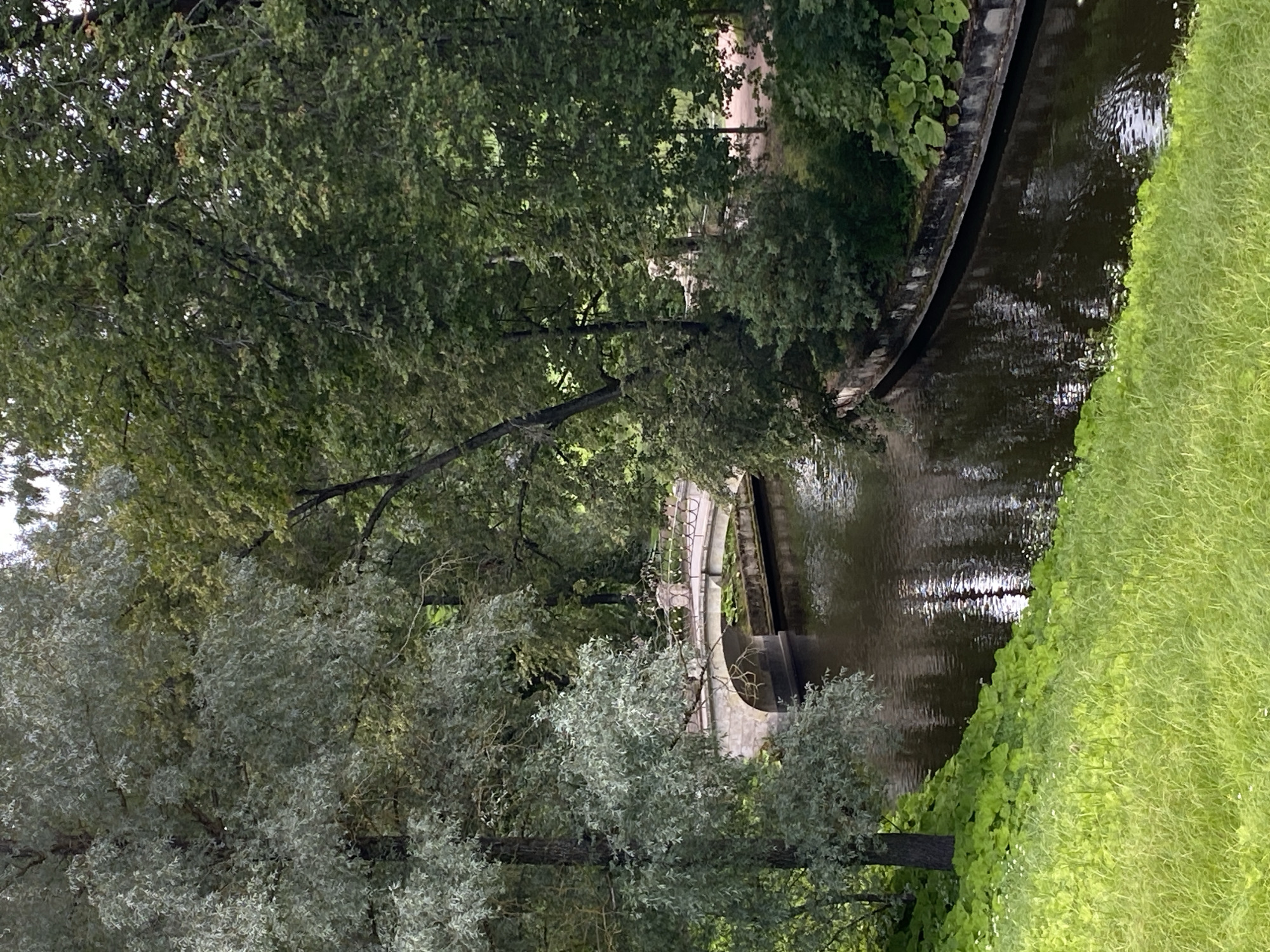 This image depicts a canal with a stone bridge arching over it, located in the Pavlovsk Park in Pavlovsk, Russia. The canal is bordered by lush green grass and vegetation on the left side of the frame and by a stone retaining wall on the right, which is lined with large-leafed plants. A variety of trees with dense green foliage form a backdrop, with some trees having silver-green leaves, likely willows, and others with darker green leaves. The bridge itself is made of stone with decorative railings and is illuminated by small lights along its length. The water in the canal is dark and reflects the surrounding greenery and the bridge, creating shimmering patterns. In the distance, behind the bridge, a pathway can be seen. The overall scene conveys a tranquil and verdant park setting.