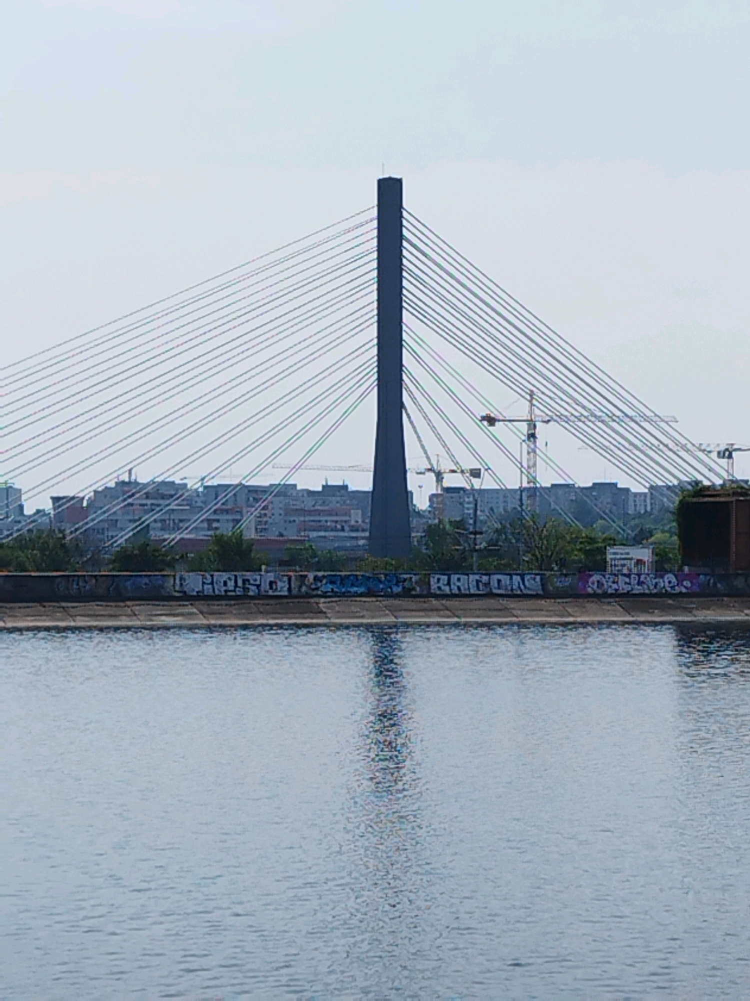 The image depicts a view across a body of water towards a city skyline with a prominent cable-stayed bridge as the central focus. The bridge features a tall, dark grey pylon from which numerous cables extend, supporting the bridge deck which is not fully visible. In the background, a dense cluster of apartment buildings rises above a line of trees. Several construction cranes are also visible among the buildings, suggesting ongoing development. The foreground is dominated by the calm, blue surface of the water, reflecting the sky and some of the distant structures. Along the edge of the water, in the mid-ground, is a concrete embankment adorned with graffiti. The scene is bathed in daylight under an overcast sky.
This scene is likely from Bucharest, Romania, and the bridge appears to be the Basarab Bridge (Podul Basarab). The Basarab Bridge is a distinctive cable-stayed bridge that spans the railway lines in the northwestern part of Bucharest, connecting the cities of Giurgiului and Basarab. The characteristic pylon and the spread of cables are hallmarks of this structure. The background skyline with apartment blocks is also consistent with the urban landscape of Bucharest, particularly areas undergoing modernization or with existing high-rise residential developments. The presence of construction cranes further supports the notion of an active urban environment in development, common in large European capitals like Bucharest.