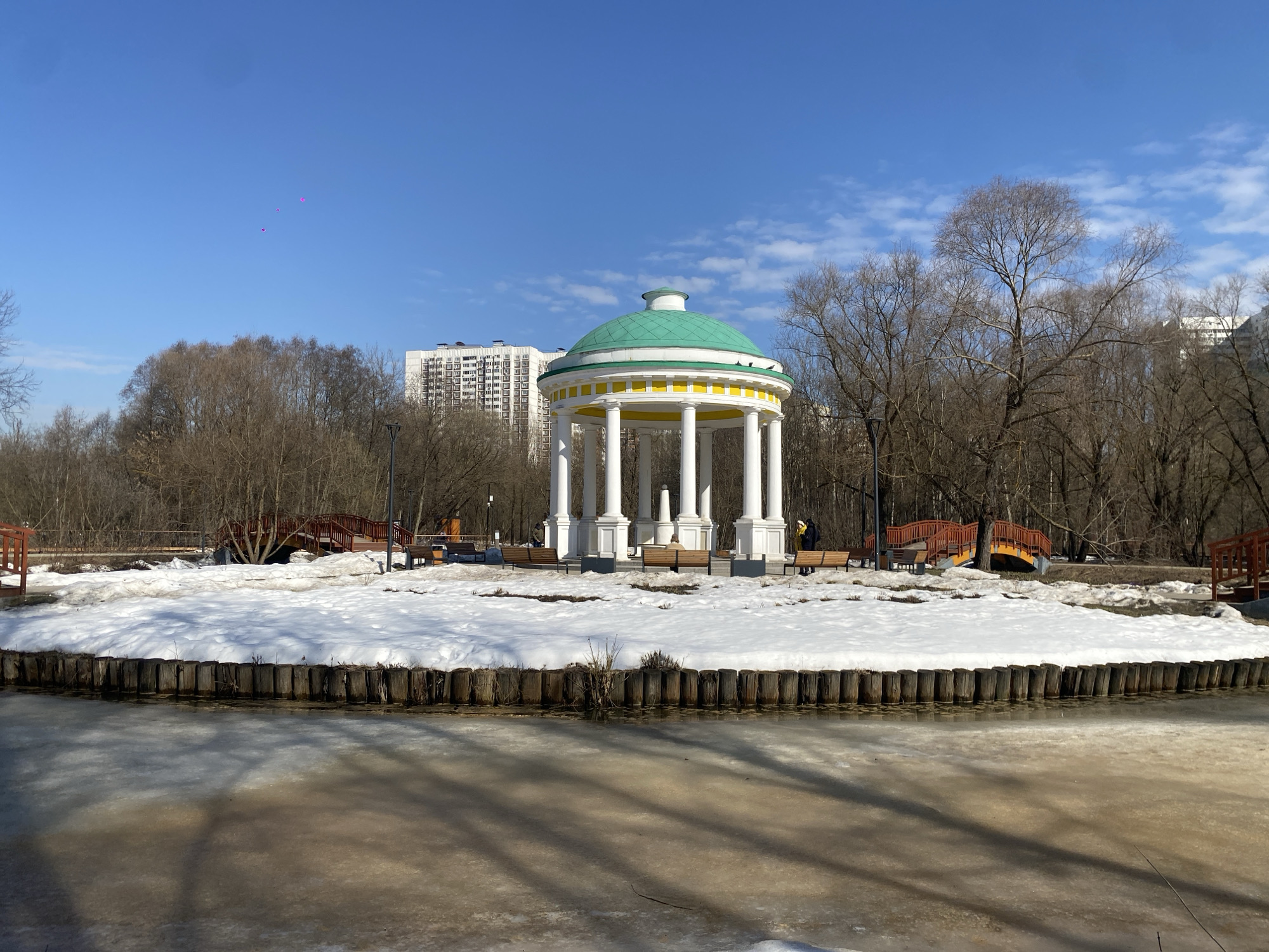 The image depicts a spring landscape in Troparevsky Park, Moscow, Russia. In the foreground, a partially thawed body of water, likely a pond or lake, shows areas of brown, murky ice and open water, reflecting shadows from an unseen source. Its edge is lined with a low embankment of vertical wooden logs. Beyond the water, a significant patch of ground is covered in melting snow, revealing dry grass and bare earth.
Centrally positioned is a white, classical-style rotunda (gazebo) with a vibrant green dome-shaped roof and a yellow frieze, supported by white fluted columns. Several brown wooden park benches are arranged around the rotunda. Multiple individuals are present: one person is seated on a bench to the left of the rotunda, another person wearing a yellow jacket stands to the right, and a third individual is partially visible behind the rotunda on the left. Two dark birds are perched on the yellow trim of the rotunda's dome.
In the midground, beyond the snow, two distinct wooden arch bridges with red railings traverse a landscape feature, with a third bridge section partially visible on the far right. The background features a dense stand of deciduous trees with bare branches, characteristic of early spring. Above and behind the trees on the left, a tall, multi-story white residential building complex is visible. The sky is clear and bright blue with scattered white cumulus clouds. Three small magenta balloons are airborne in the upper-left quadrant of the sky. The scene is illuminated by direct sunlight, casting distinct shadows.