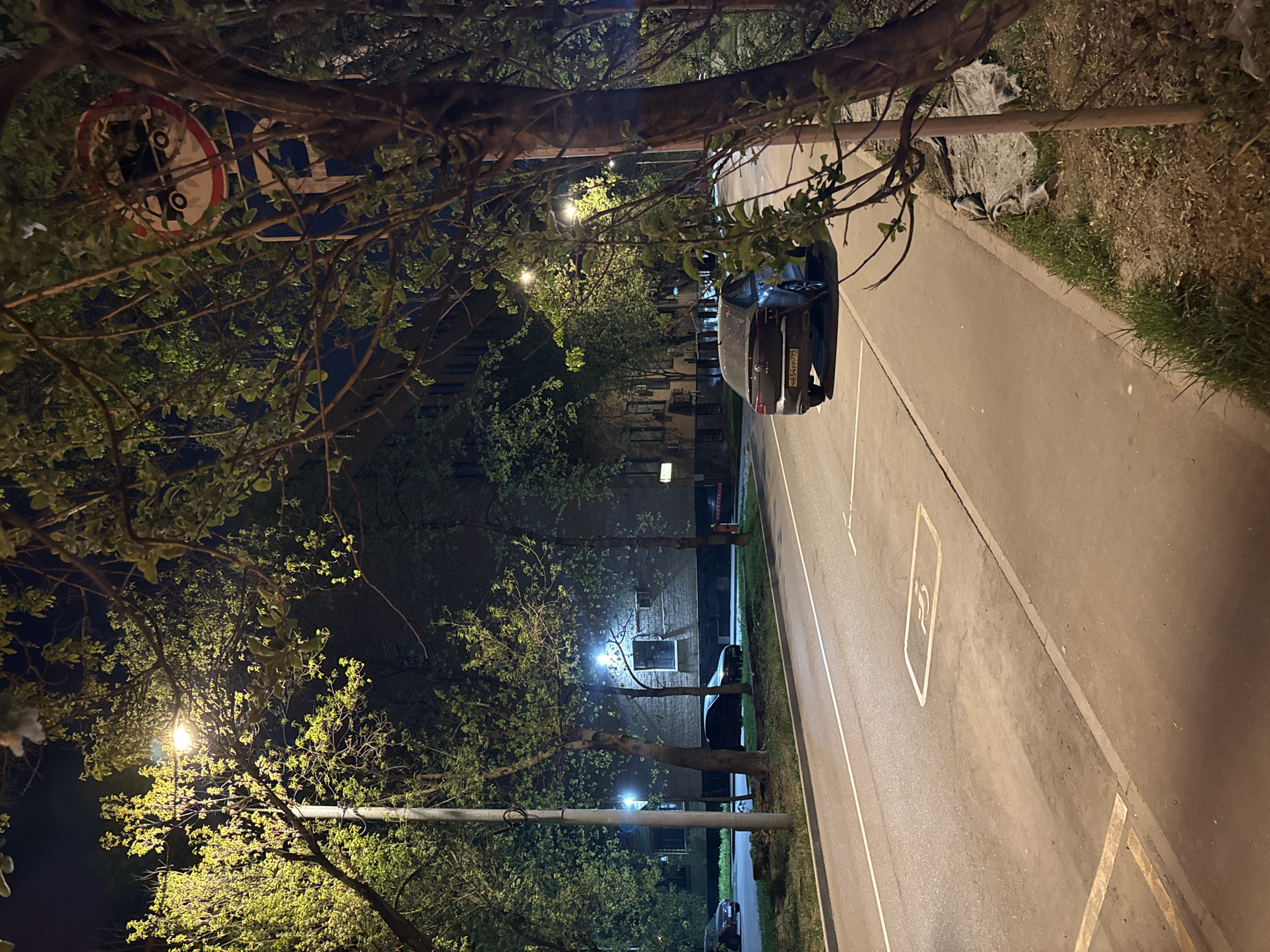 This is an outdoor nighttime scene, likely in a residential area of Moscow, Russia. A narrow paved road or driveway with painted lines runs vertically in the image, bordered by a sidewalk or grassy strip on the right. A dark-colored car is parked on the left side of the road. A building with lighted windows is visible in the background behind trees and streetlights. Trees with foliage frame the top and left sides of the image, obscuring a traffic sign in the top left. The scene is illuminated by streetlights, creating pools of light on the road and highlighting the greenery.