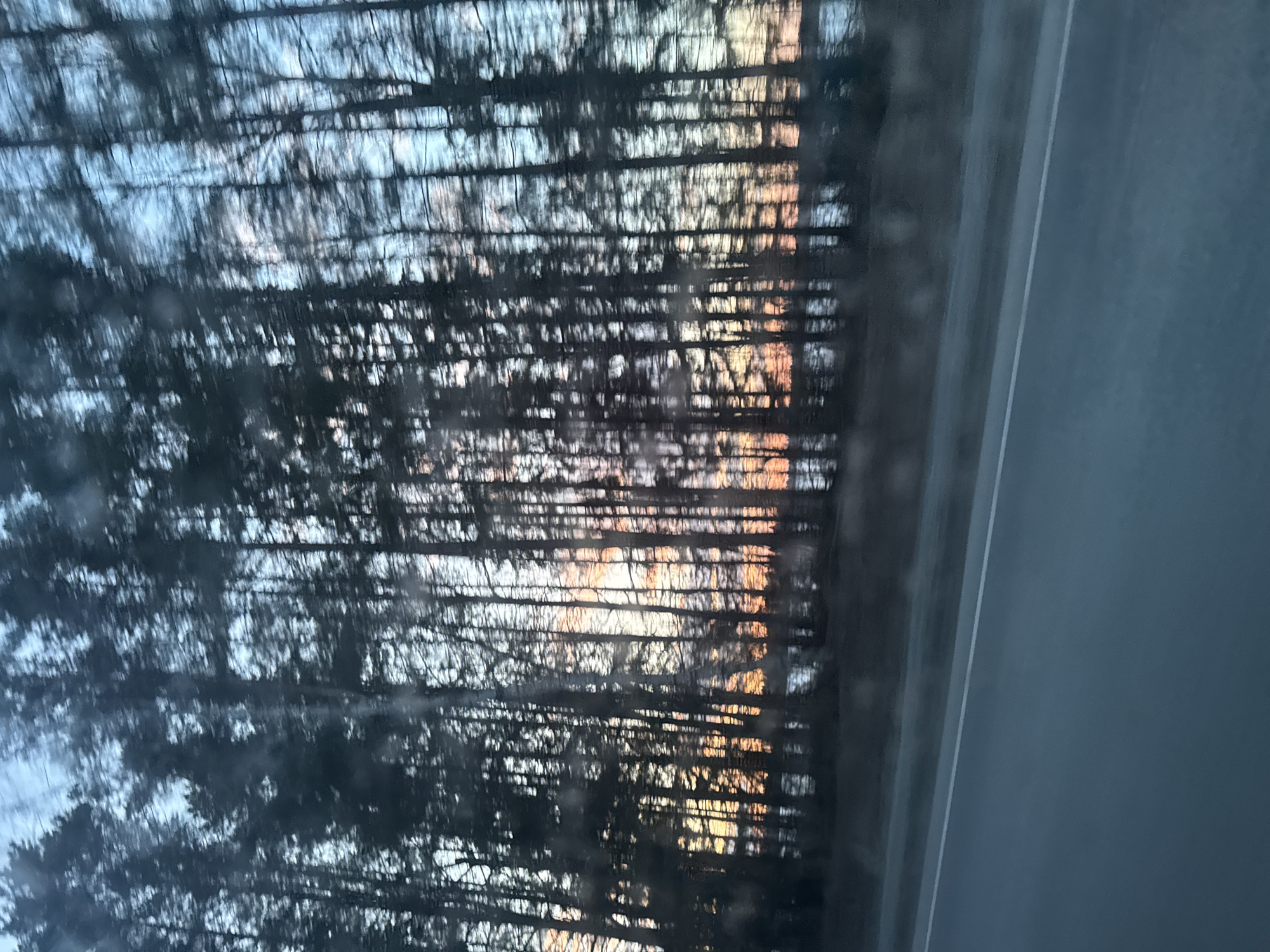 The image shows a blurry view of a forest at sunset, likely seen through a vehicle window. Thin, dark tree trunks and branches are silhouetted against a light, orange-tinted sky. A dark gray road is visible on the right side of the frame. The specific location in Uspenskii, Russia, cannot be determined from the image.