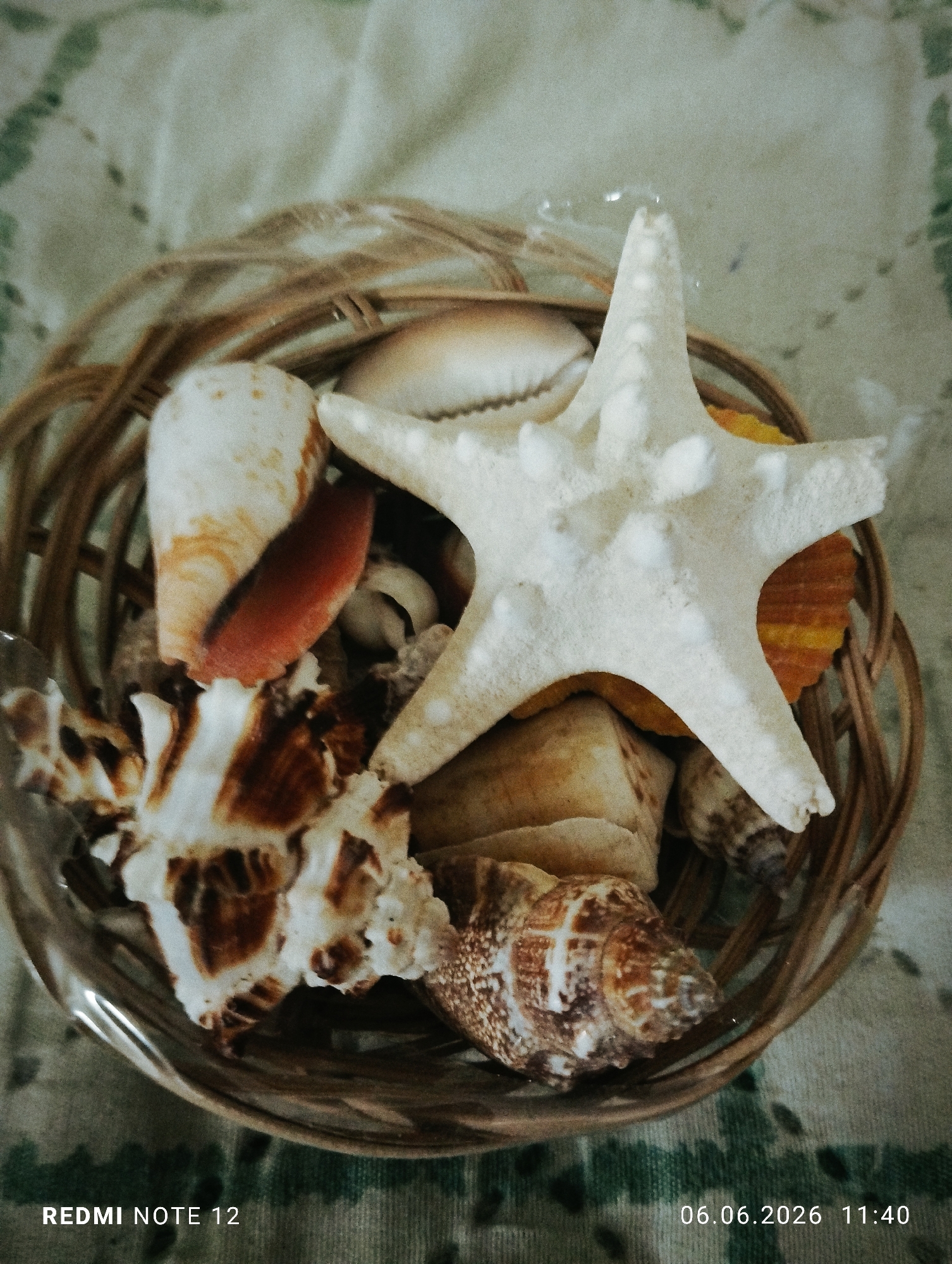 The image displays a vertical overhead perspective of a circular, light brown woven wicker basket containing numerous natural seashells and one white dried starfish. The white starfish, centrally located within the basket, has a five-armed, textured, calcified appearance. Conical, bivalve, and spiraled shells, displaying natural patterns in shades of brown, white, and orange, are arranged within the basket. One shell exhibits a reddish-orange inner opening. The basket rests on a light-colored fabric surface featuring a subtle, darker green abstract or botanical pattern. The scene is presented as an indoor still life with no individuals or specific actions depicted. While the image itself contains no explicit geographical identifiers, the scene is stated to be located in Burgas, Bulgaria. Metadata embedded in the image indicates it was captured on 06.06.2026 at 11:40 with a Redmi Note 12 device.