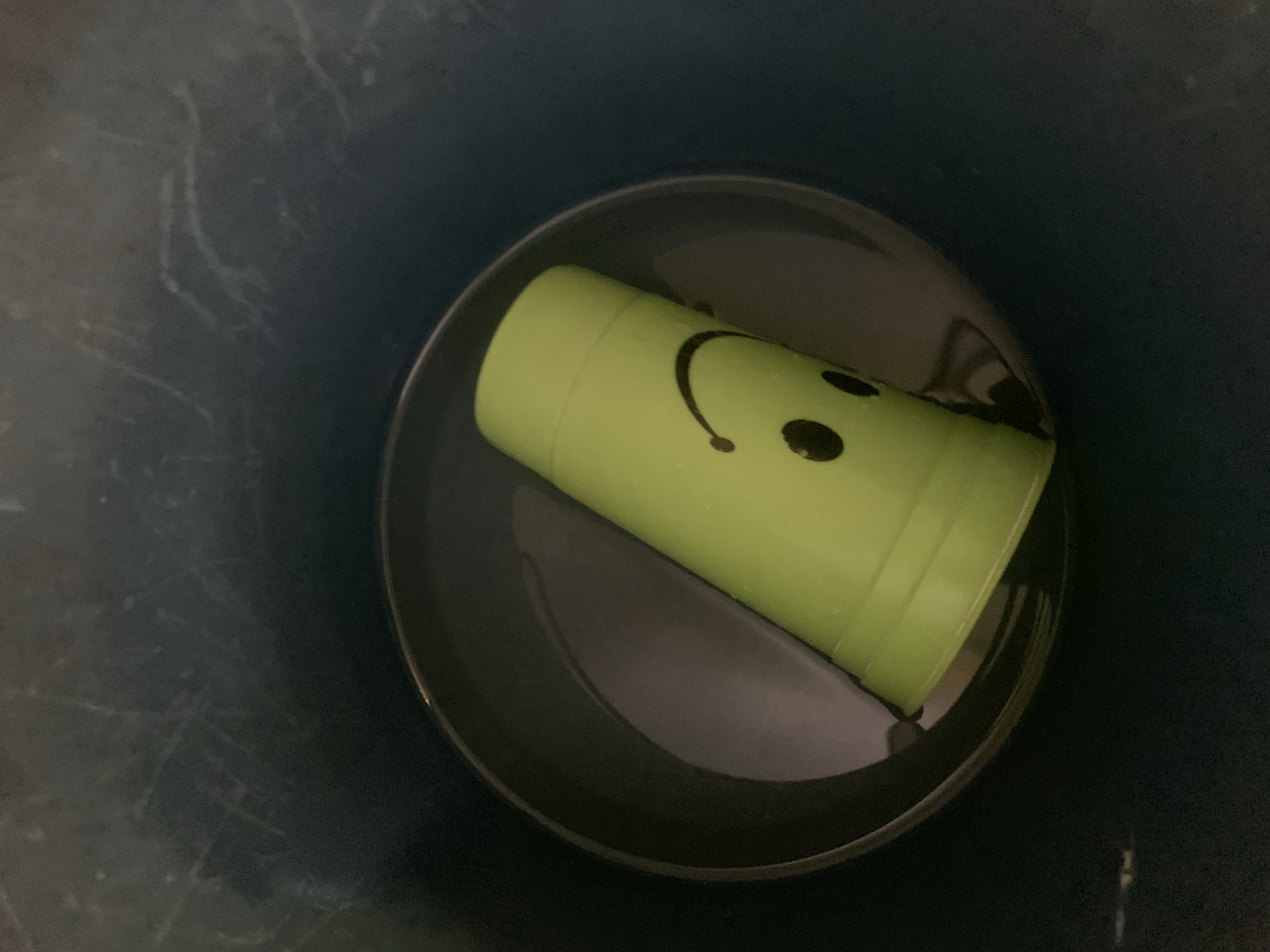 The image shows a green plastic cup with a simple smiley face drawn on it, floating in a black bowl of water. The bowl is placed inside a dark blue or grey container. The environment is plain, lacking distinctive landmarks that would indicate a specific location within Santa Ana, Venezuela.