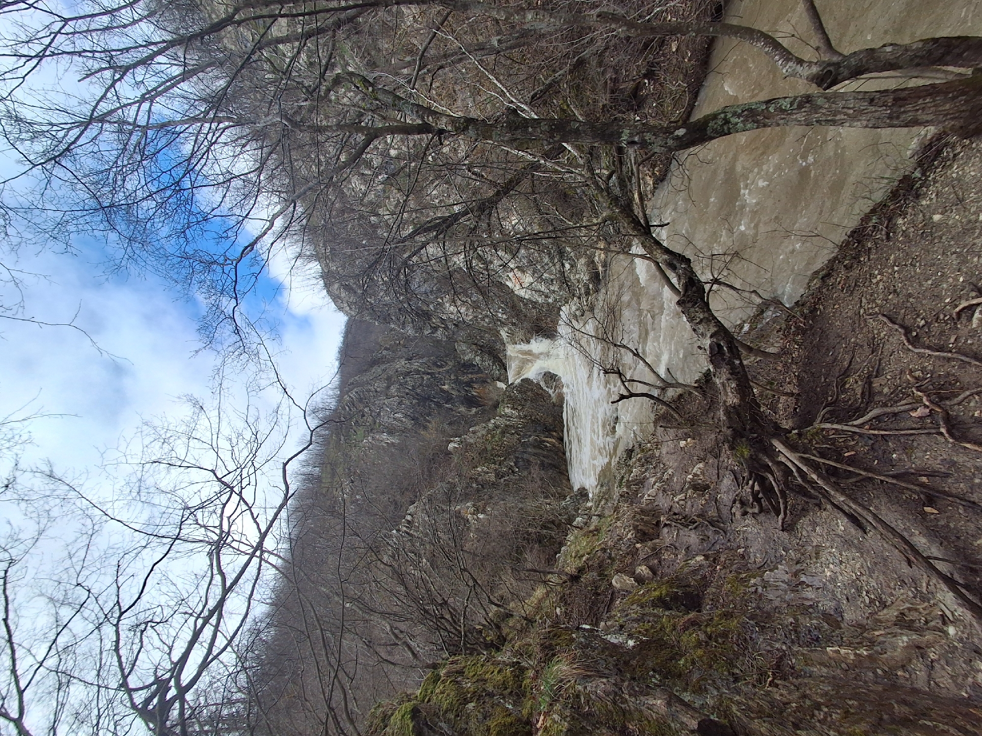 The image depicts a natural scene, likely a river gorge or canyon in Medven, Bulgaria. A fast-flowing, muddy river dominates the central portion, suggesting a recent heavy rainfall or flooding event. Steep, rocky cliffs border the river, covered in moss and sparse vegetation. Bare trees with intricate branch patterns frame the view, indicative of late autumn or early spring. A patch of blue sky with light clouds is visible in the upper left corner. The composition is oriented vertically, providing a sense of depth and height within the gorge. No people or animals are visible.